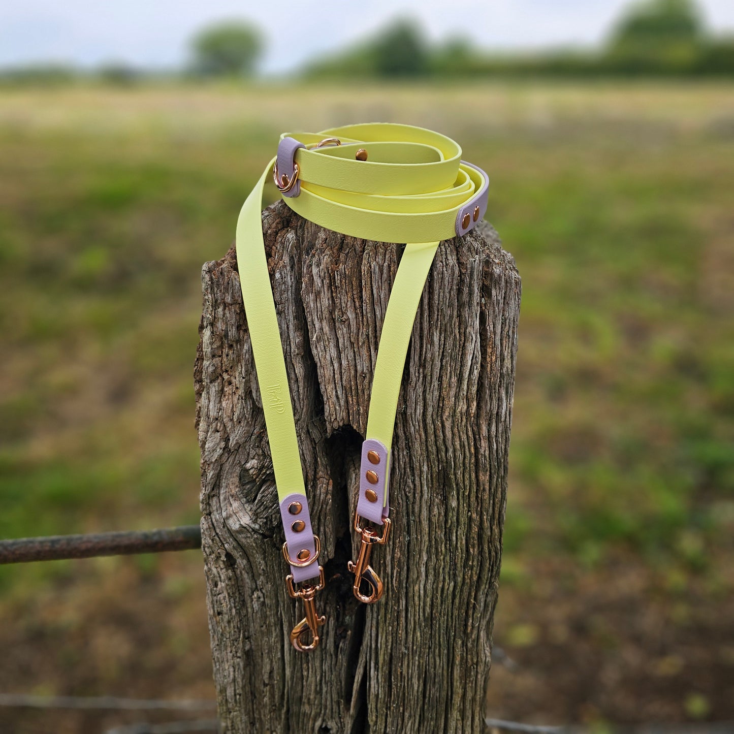 Lemon & Lilac - BioThane® waterproof Handsfree Dog Training Lead / Multiway Dog Lead