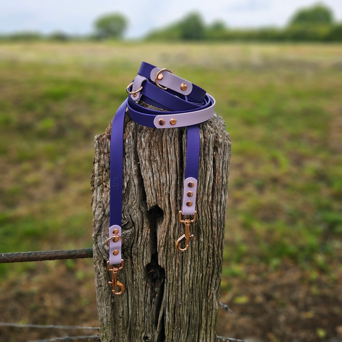 Purple & Lilac - Waterproof Biothane® Handsfree Dog Training Lead / Multiway Dog Lead