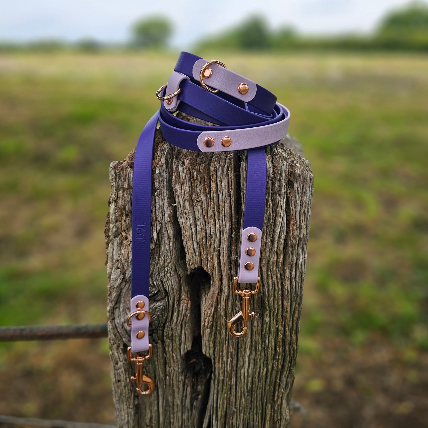 Ombre Collection - BioThane® waterproof Handsfree Dog Training Lead / Multiway Dog Lead