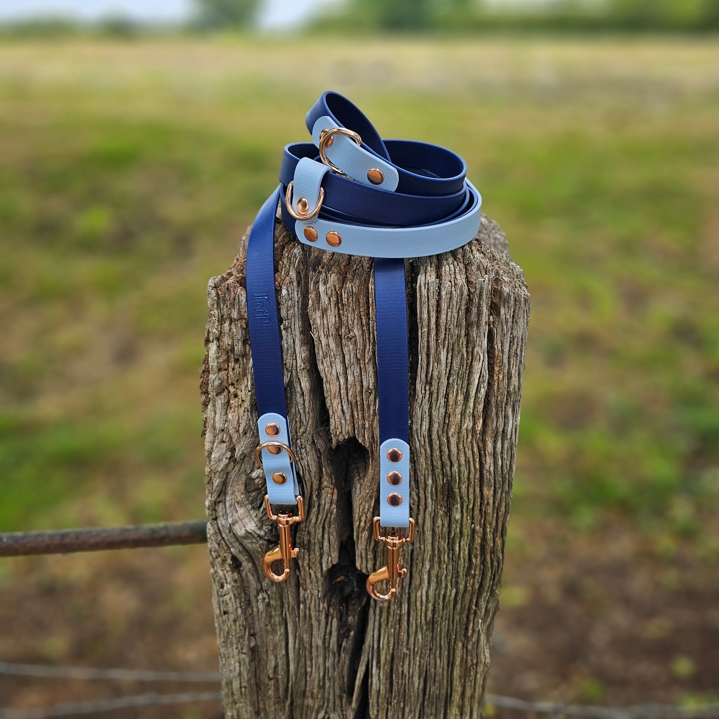 Ombre Collection - BioThane® waterproof Handsfree Dog Training Lead / Multiway Dog Lead