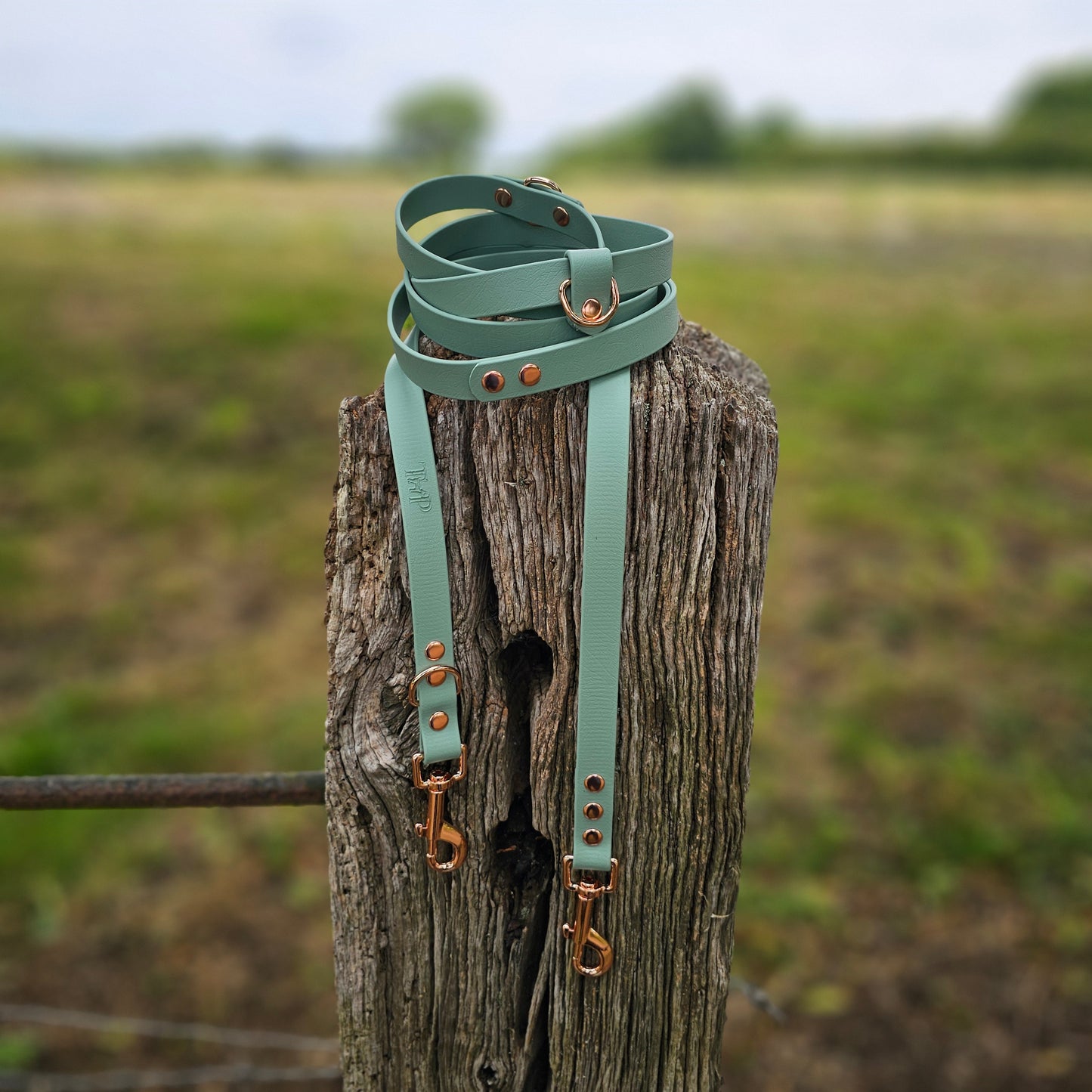 JFP - BioThane® waterproof Handsfree Dog Training Lead / Multiway Dog Lead