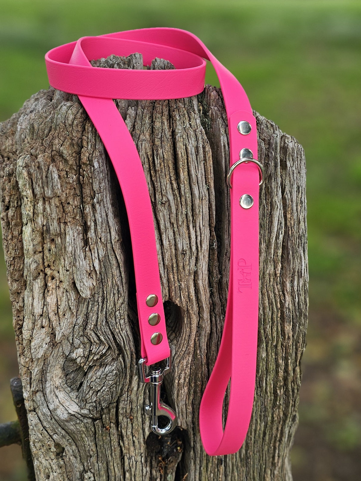 Passion Pink - Classic Waterproof BioThane© Dog Lead