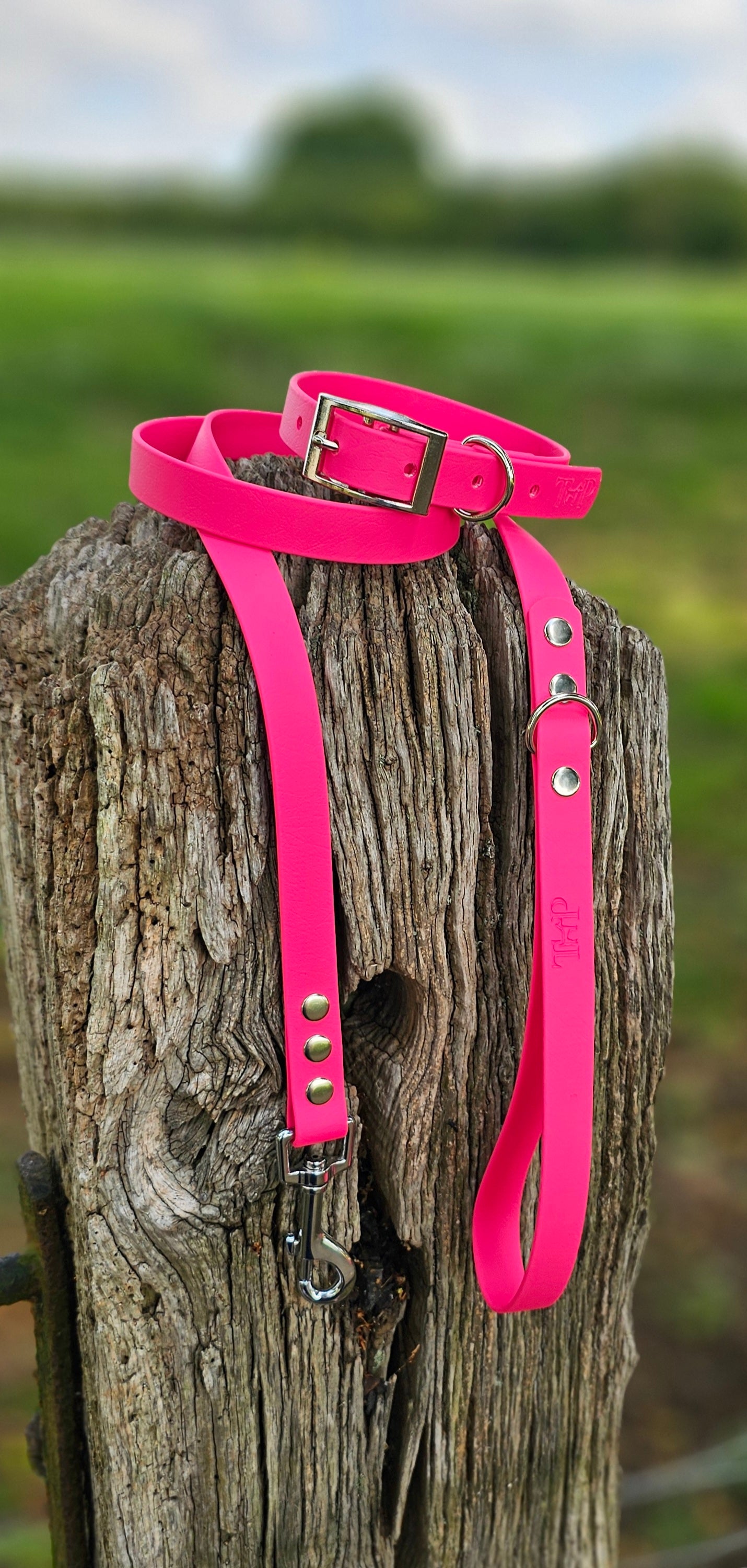 PASSION PINK - Waterproof BioThane© Dog Collar/Lead/Bundle