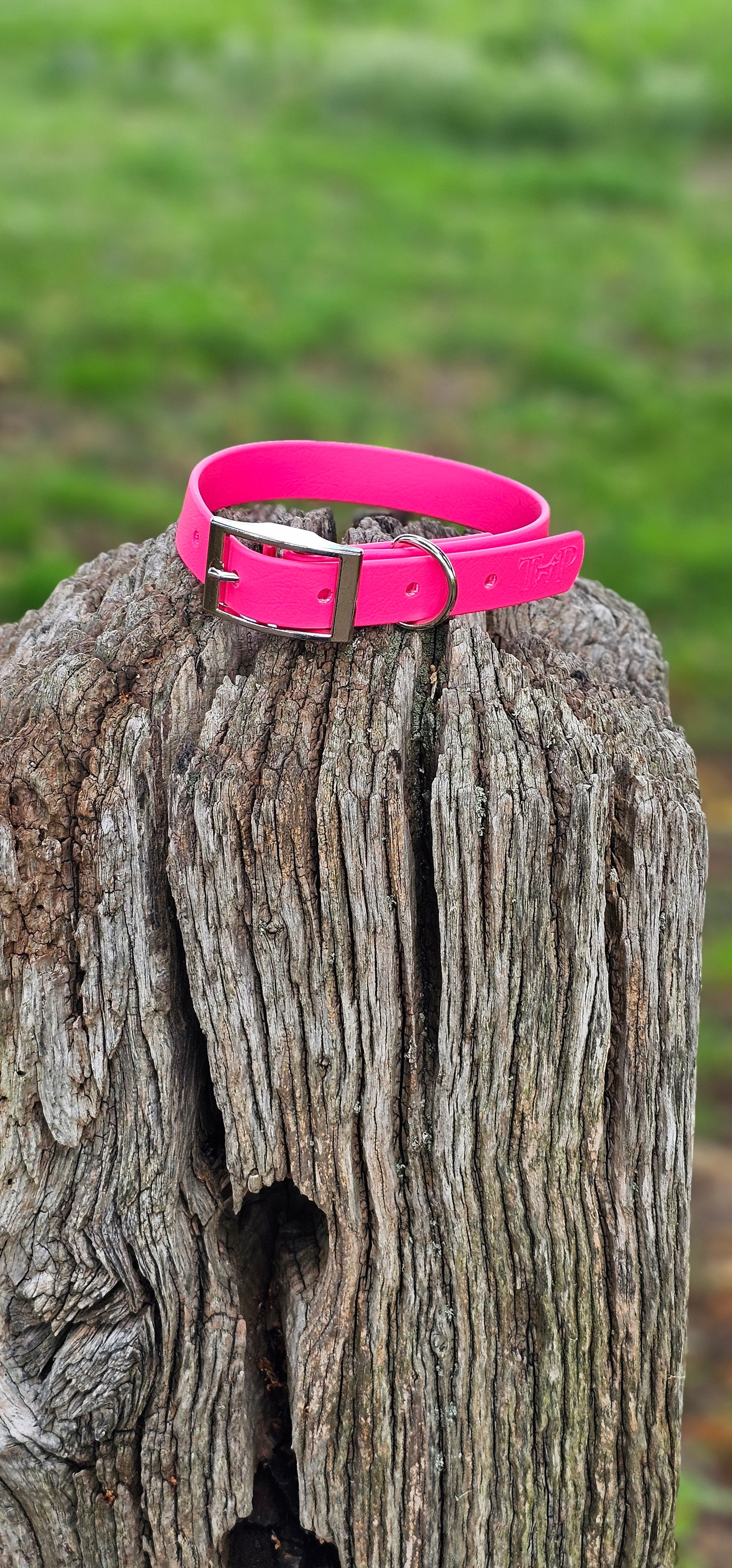 PASSION PINK - Waterproof BioThane© Dog Collar/Lead/Bundle