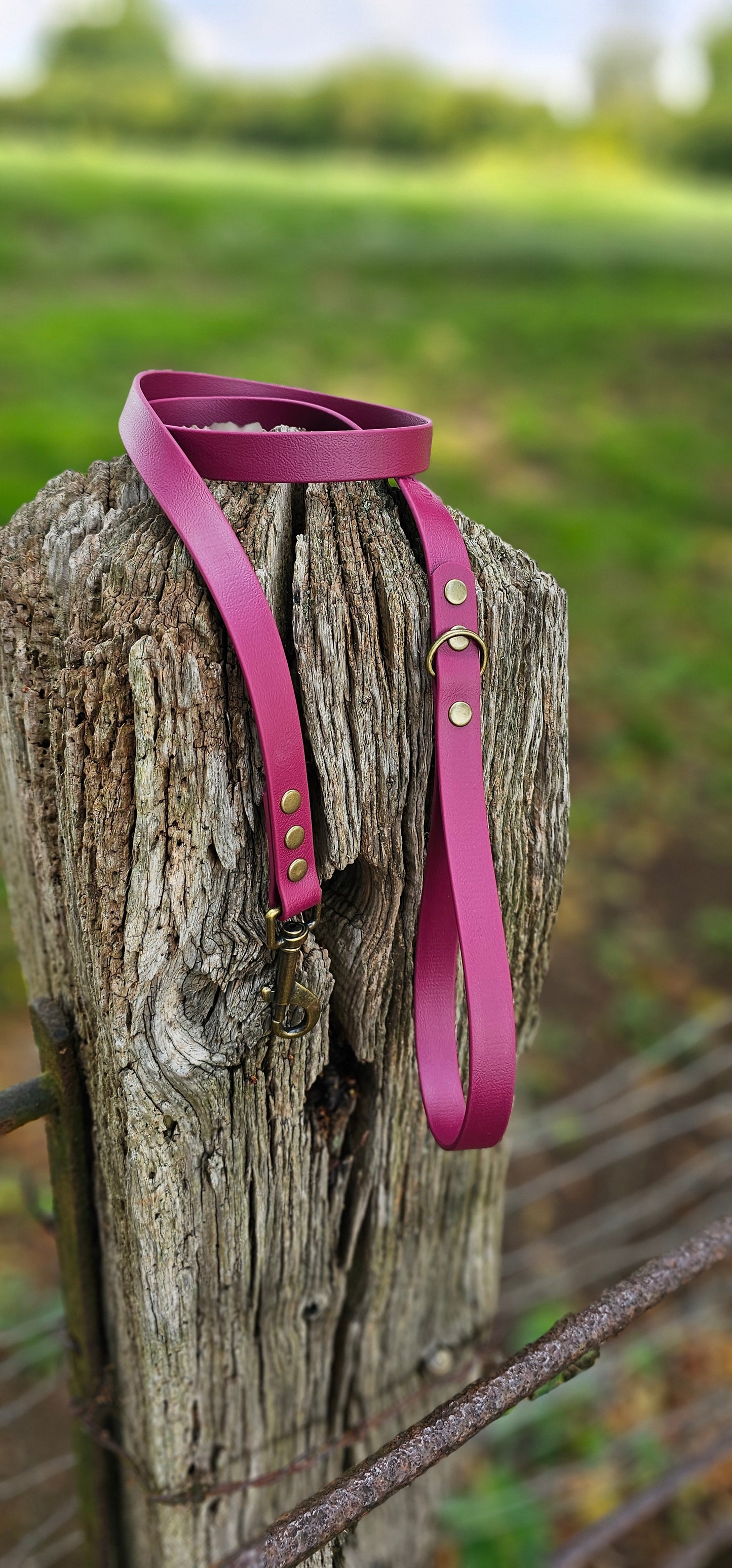 BURGUNDY - Waterproof BioThane© Dog Collar & Lead