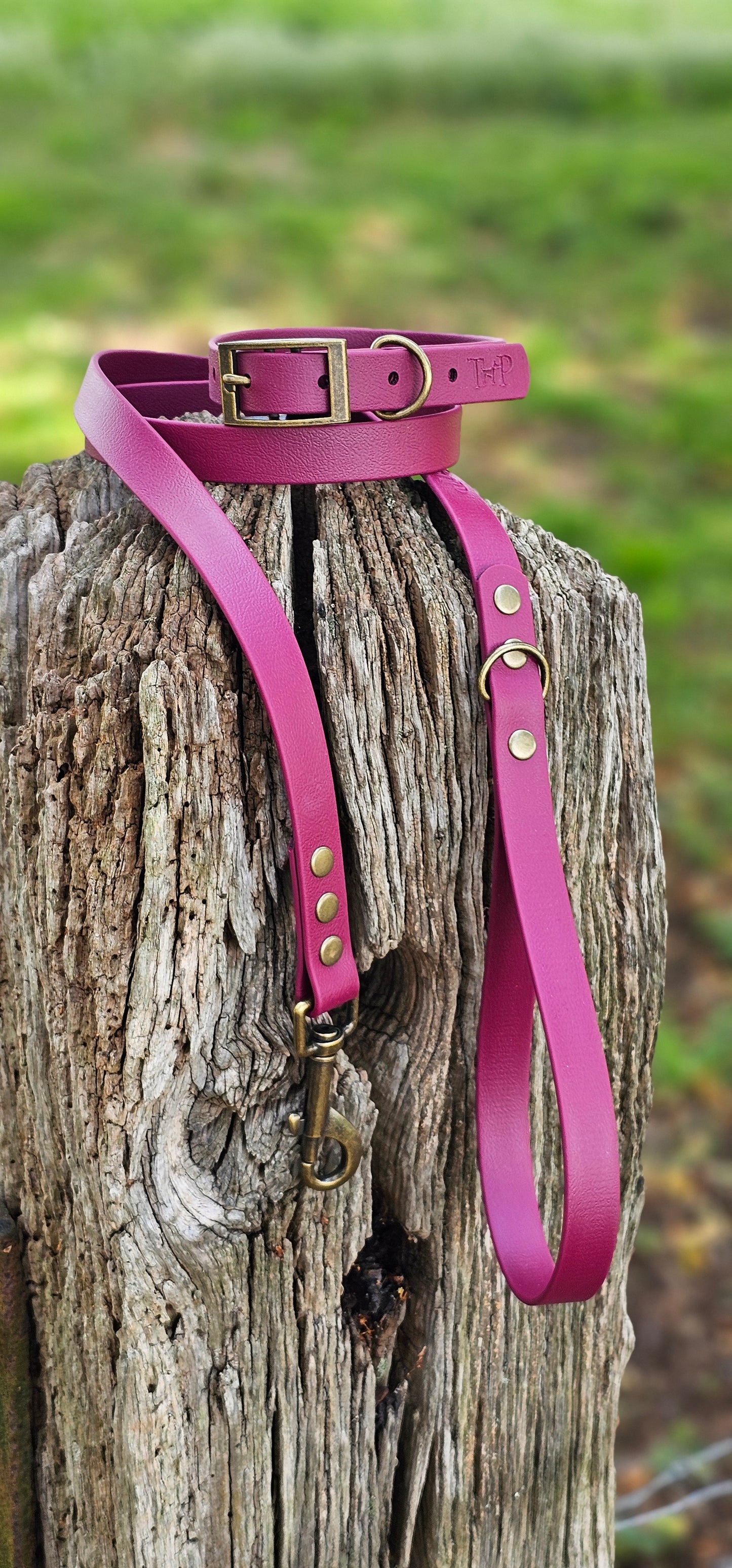 BURGUNDY - Waterproof BioThane© Dog Collar & Lead