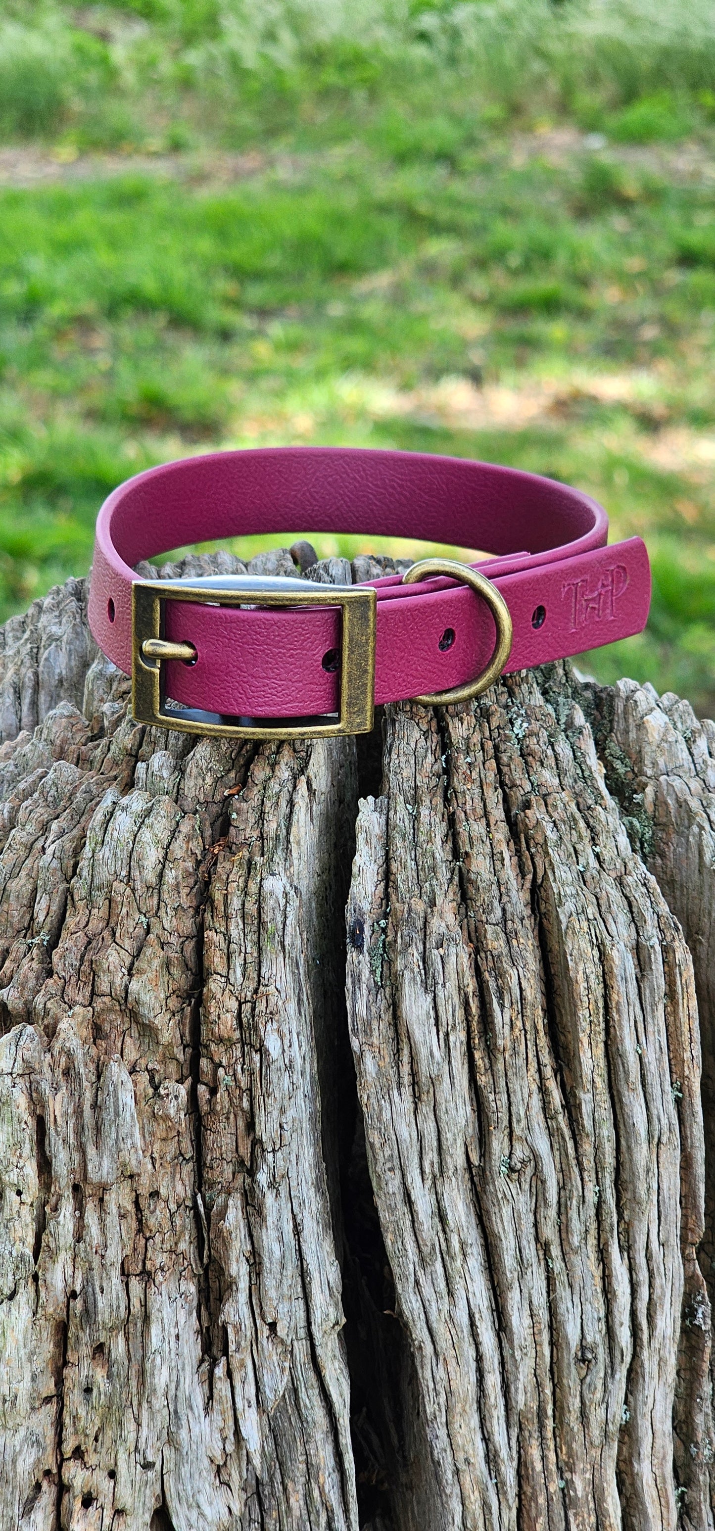 BURGUNDY - Waterproof BioThane© Dog Collar & Lead