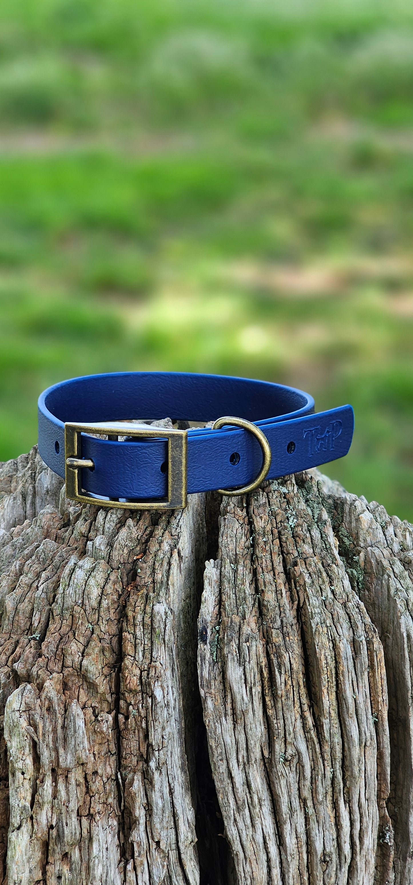 NAVY - Waterproof BioThane© Dog Collar/Lead/Bundle