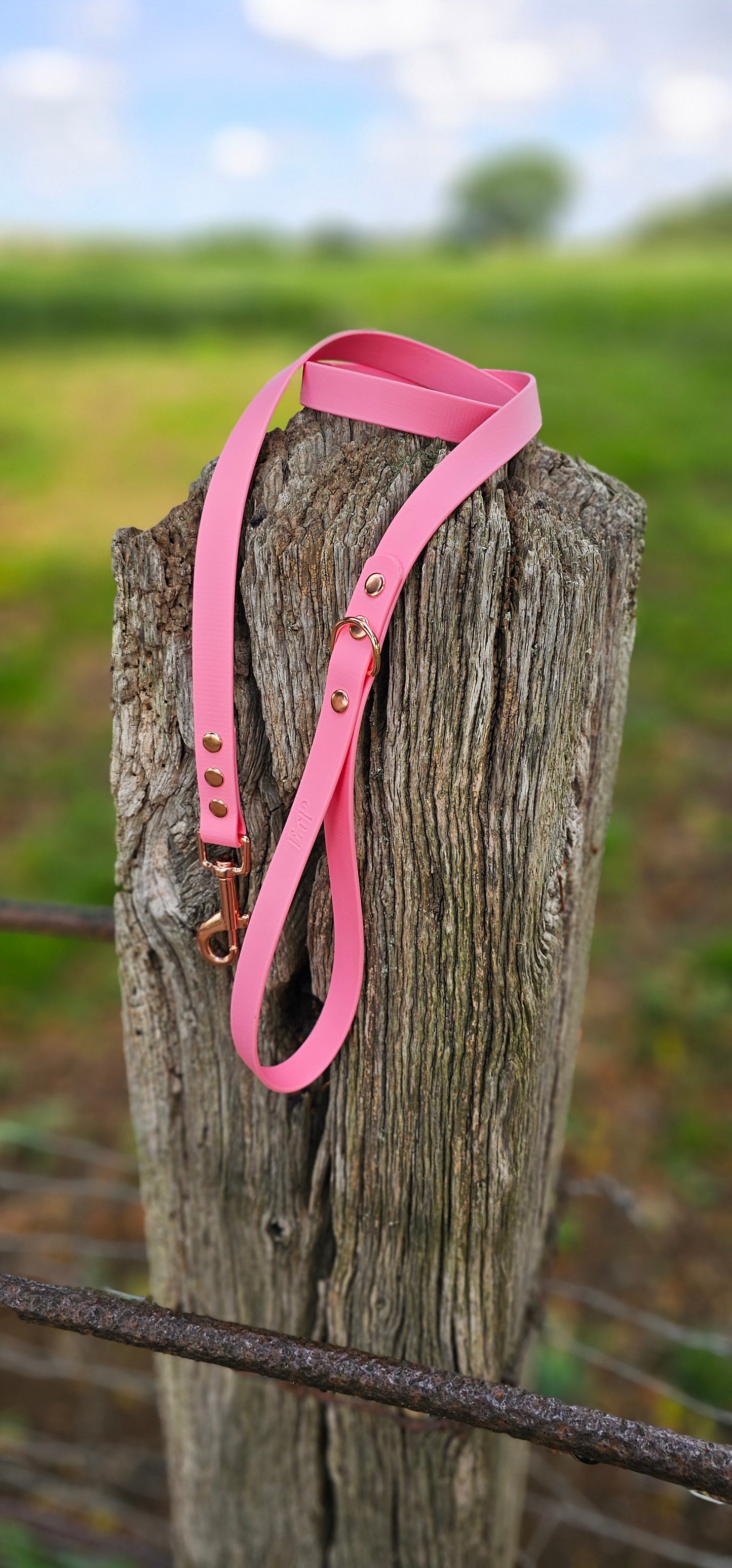 BABY PINK - Waterproof BioThane© Dog Collar & Lead