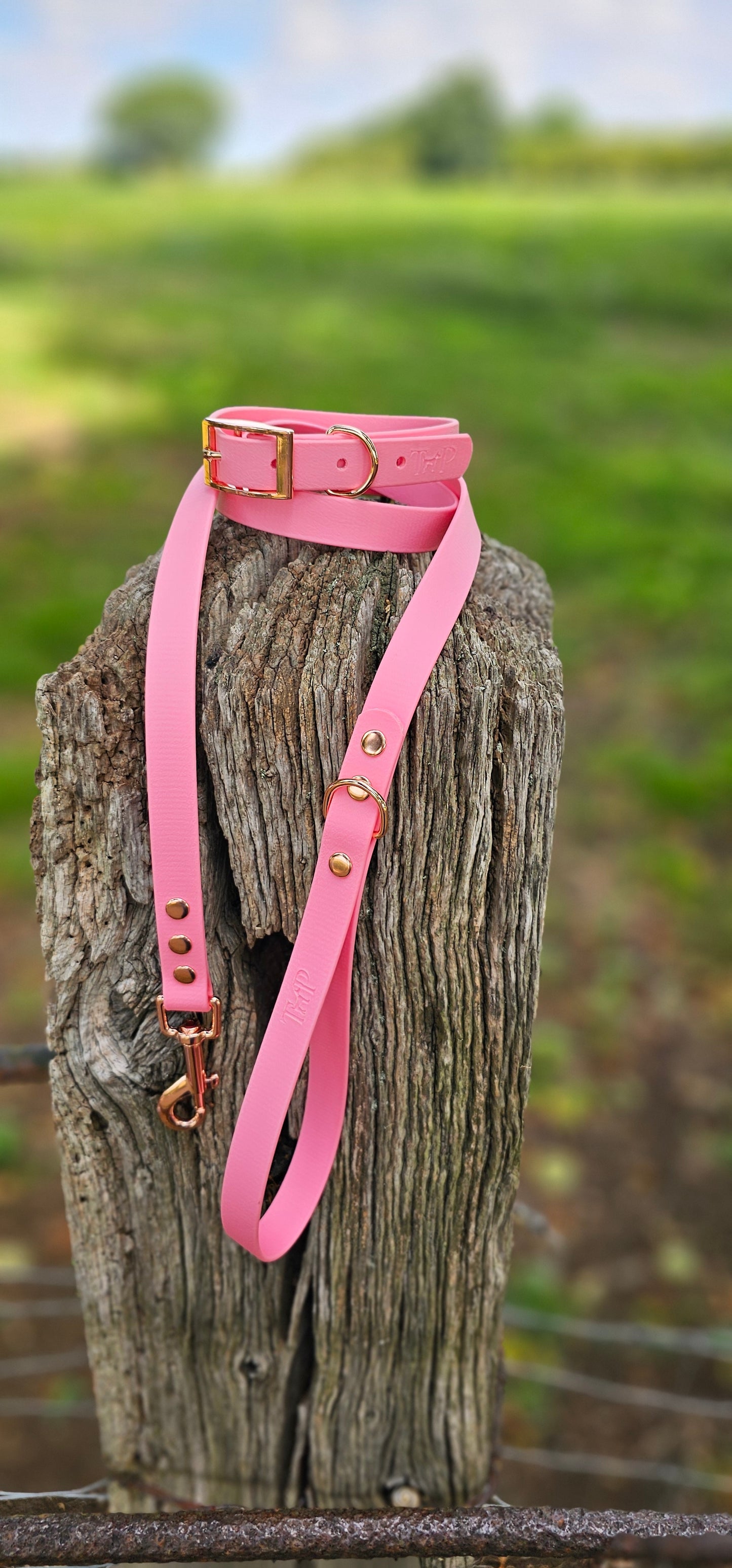 BABY PINK - Waterproof BioThane© Dog Collar & Lead
