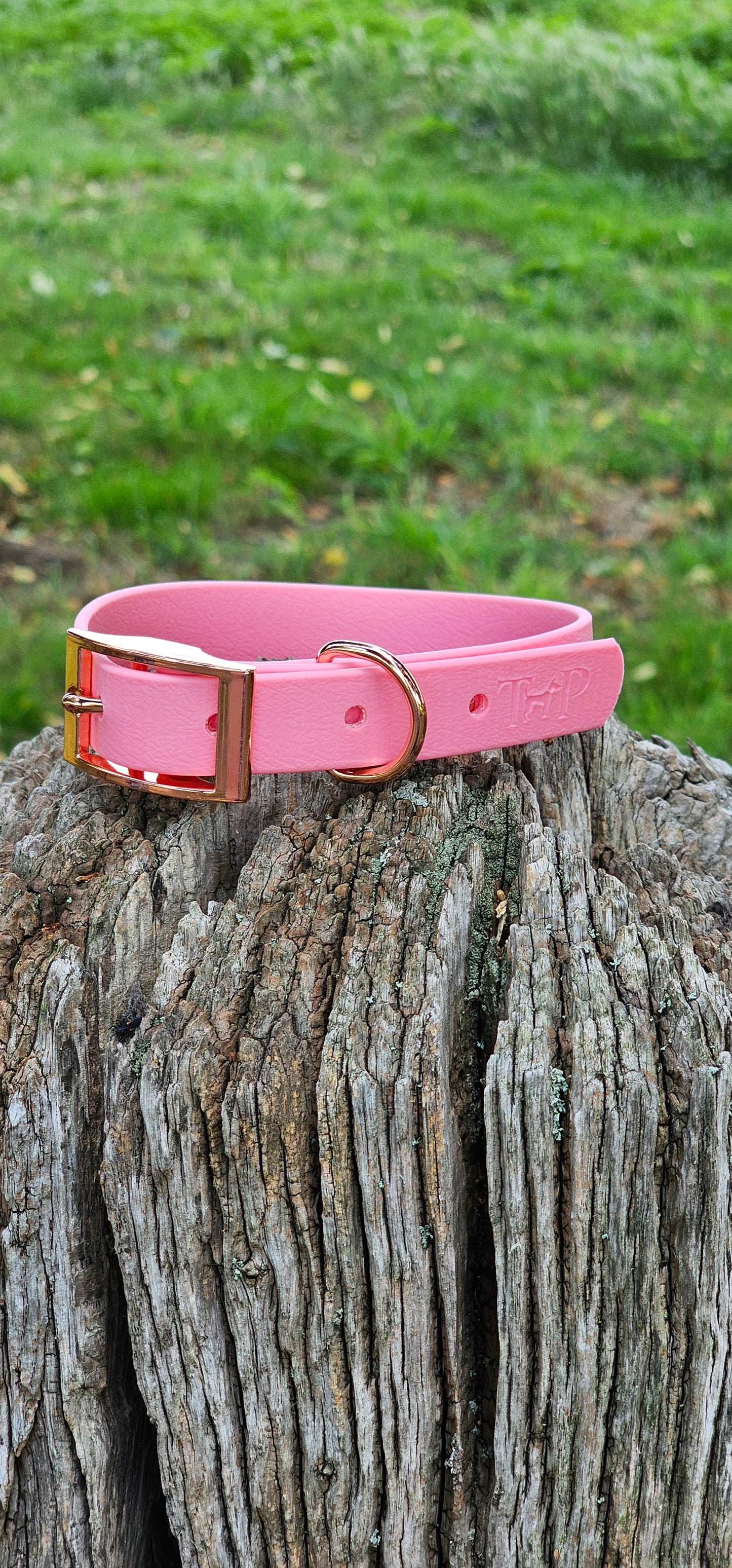 BABY PINK - Waterproof BioThane© Dog Collar & Lead