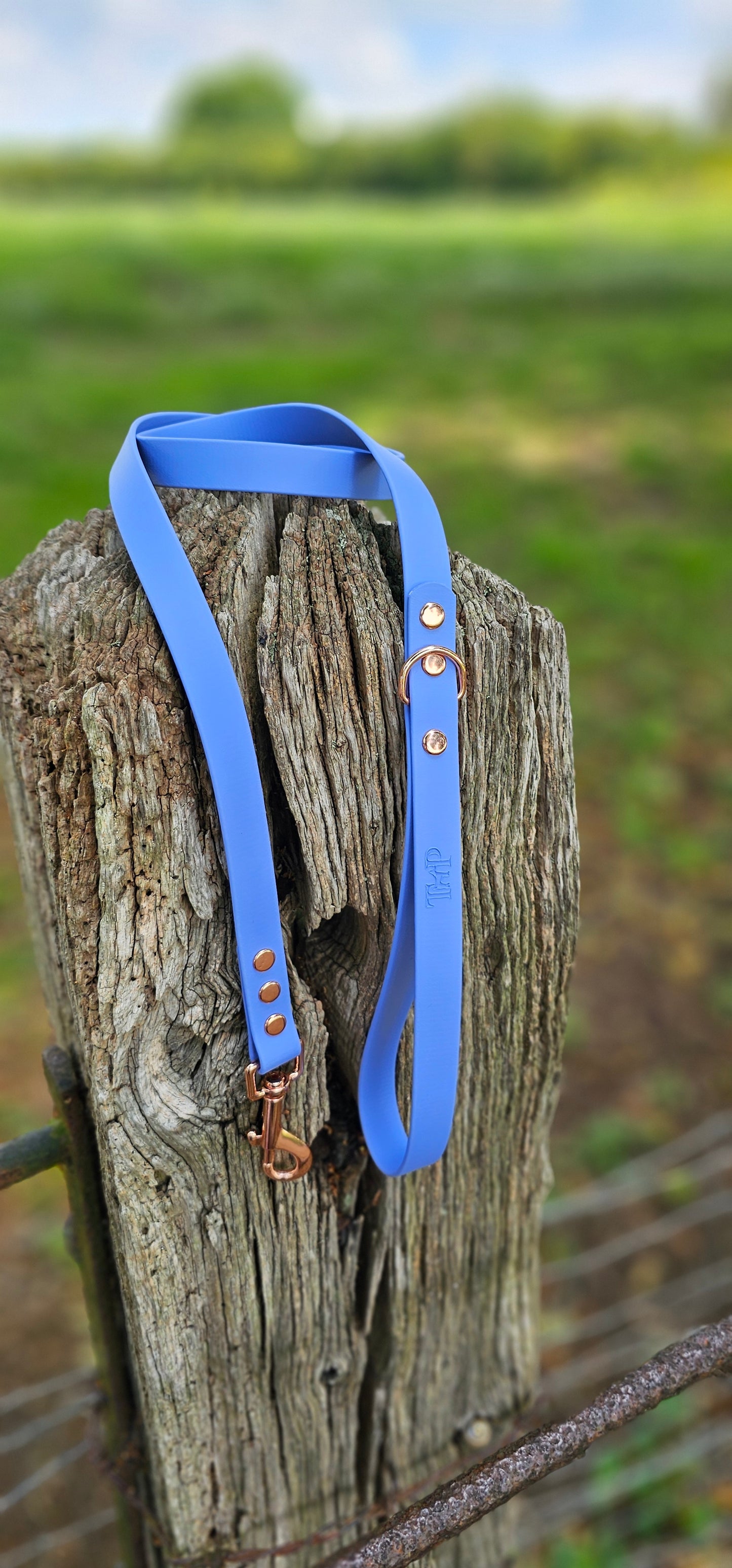 PERIWINKLE - Waterproof BioThane© Dog Collar/Lead/Bundle