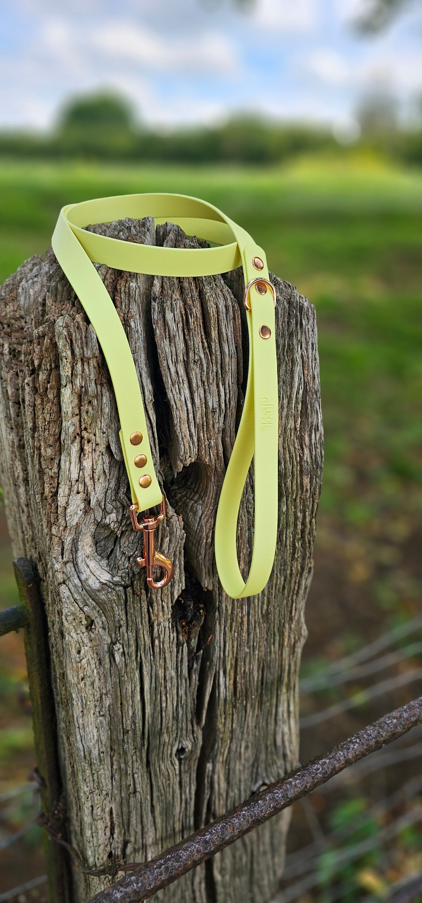 LEMON - Waterproof BioThane© Dog Collar/Lead/Bundle