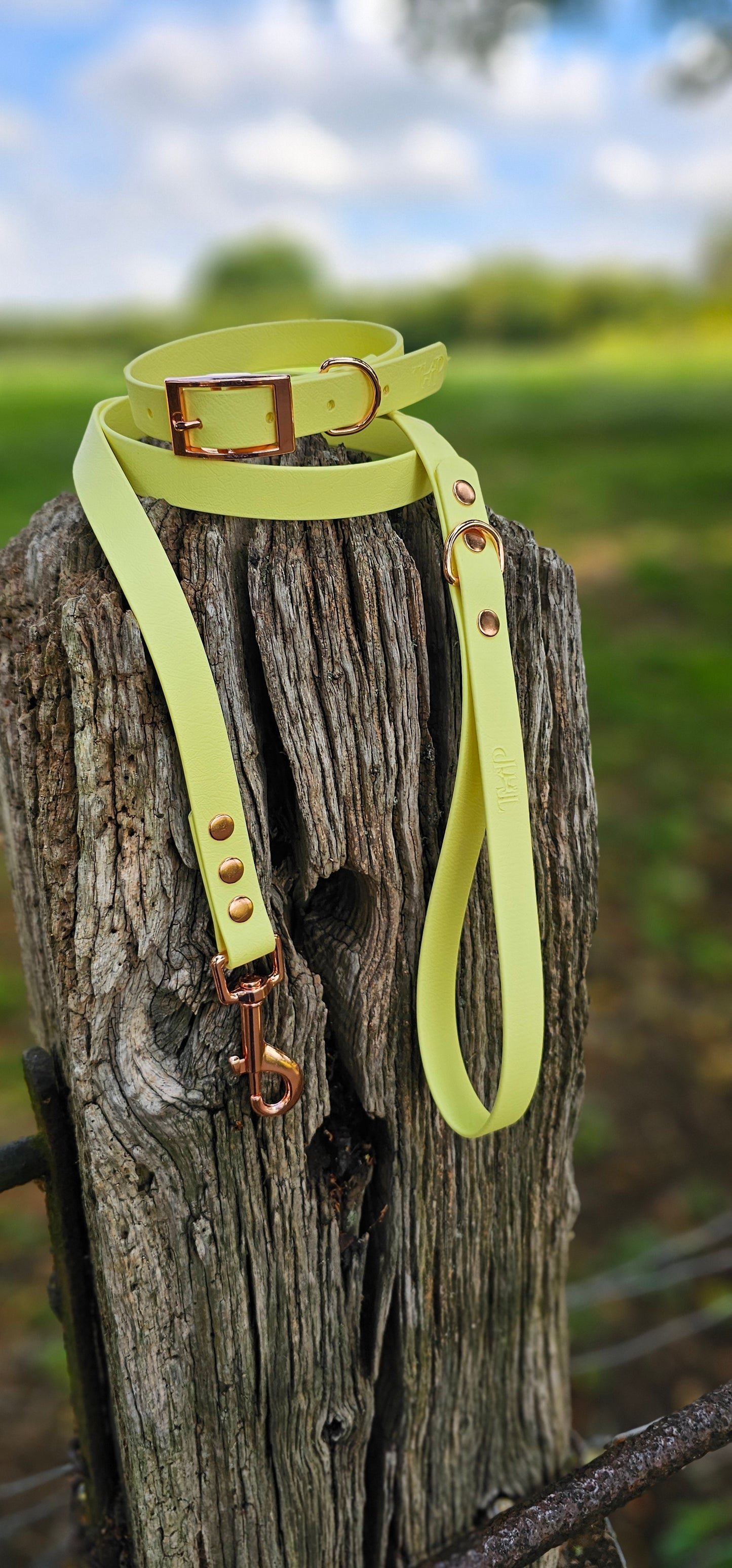 LEMON - Waterproof BioThane© Dog Collar/Lead/Bundle