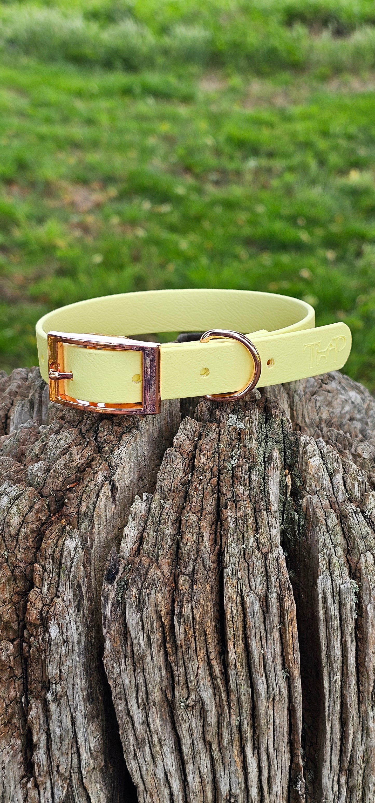 LEMON - Waterproof BioThane© Dog Collar/Lead/Bundle