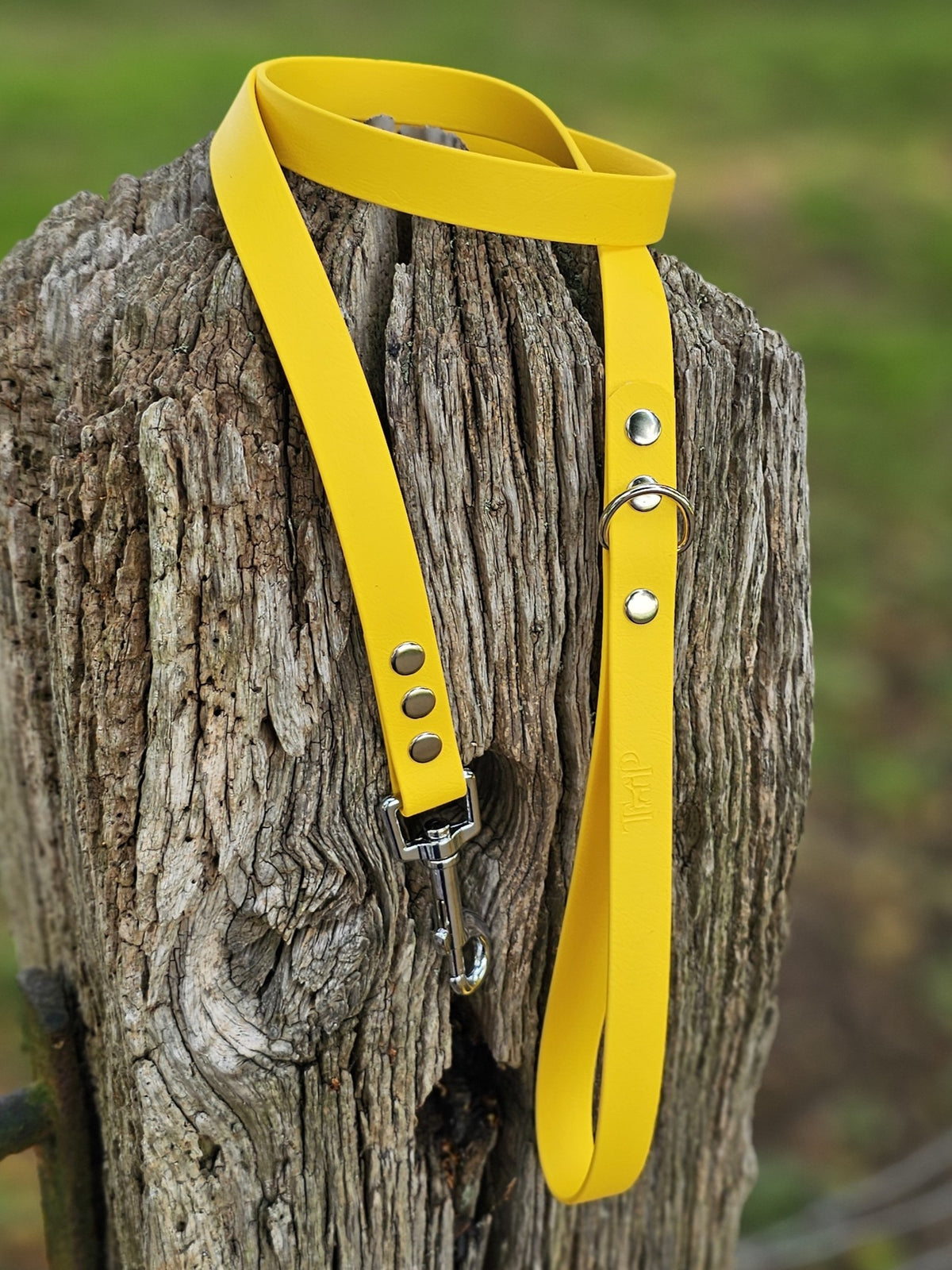 Yellow - Classic Waterproof BioThane© Dog Lead