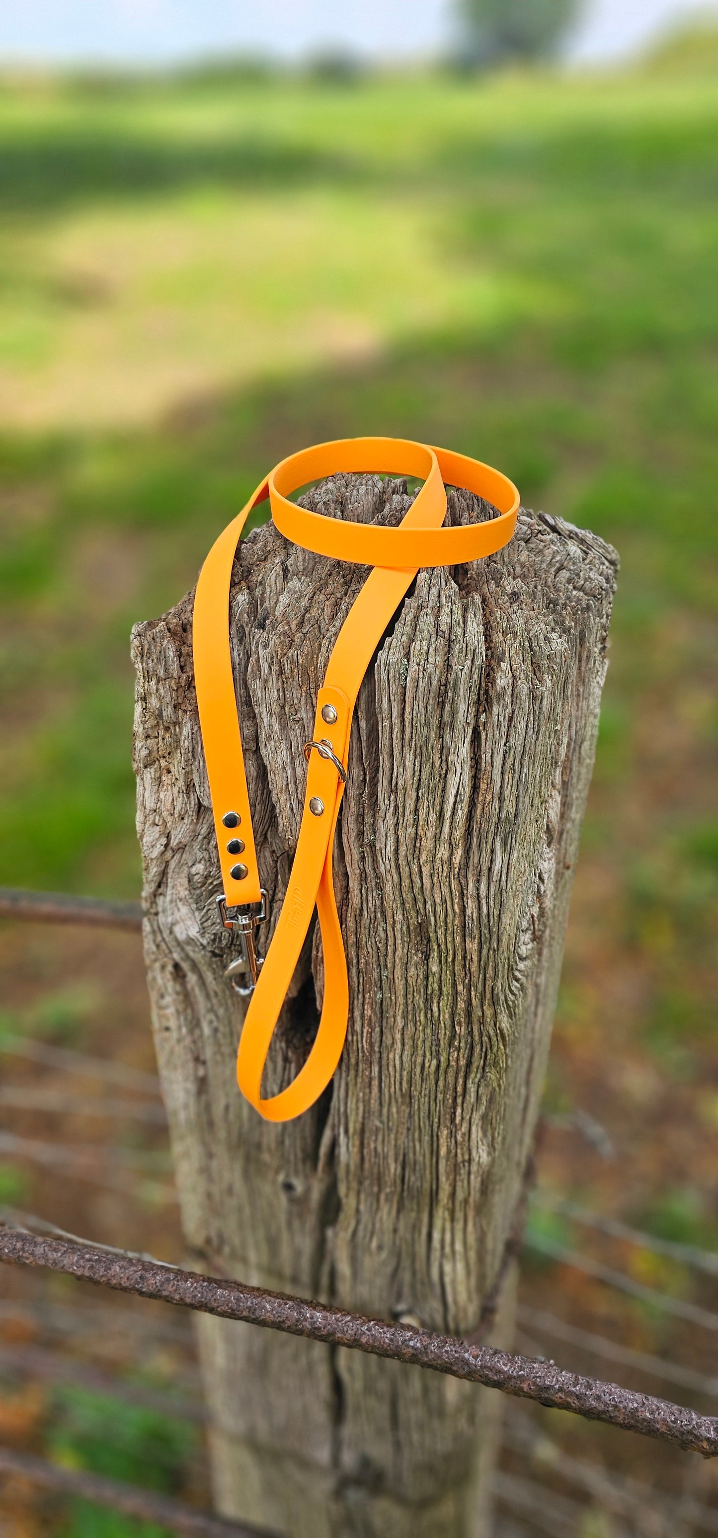 PEACH - Waterproof BioThane© Dog Collar/Lead/Bundle