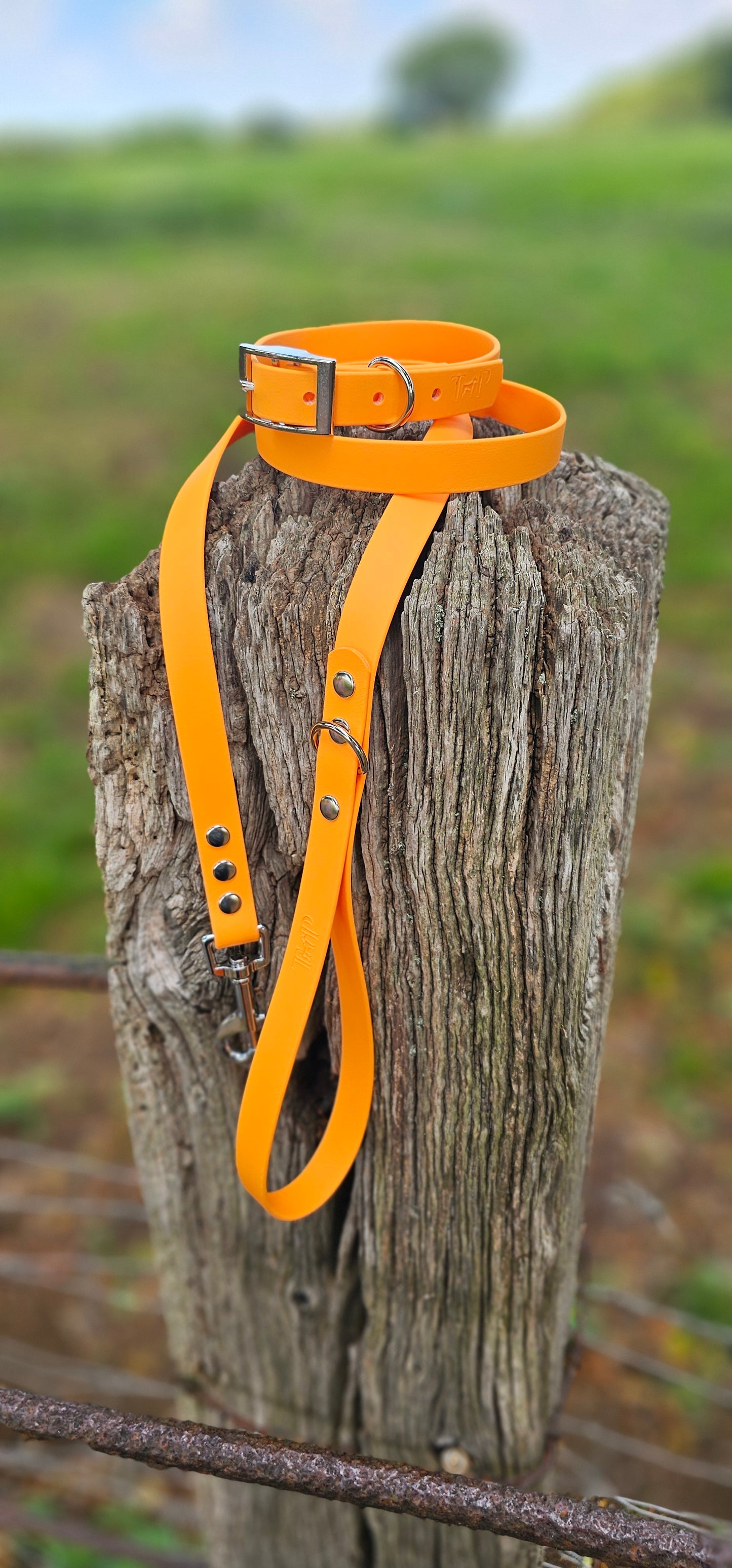 PEACH - Waterproof BioThane© Dog Collar/Lead/Bundle