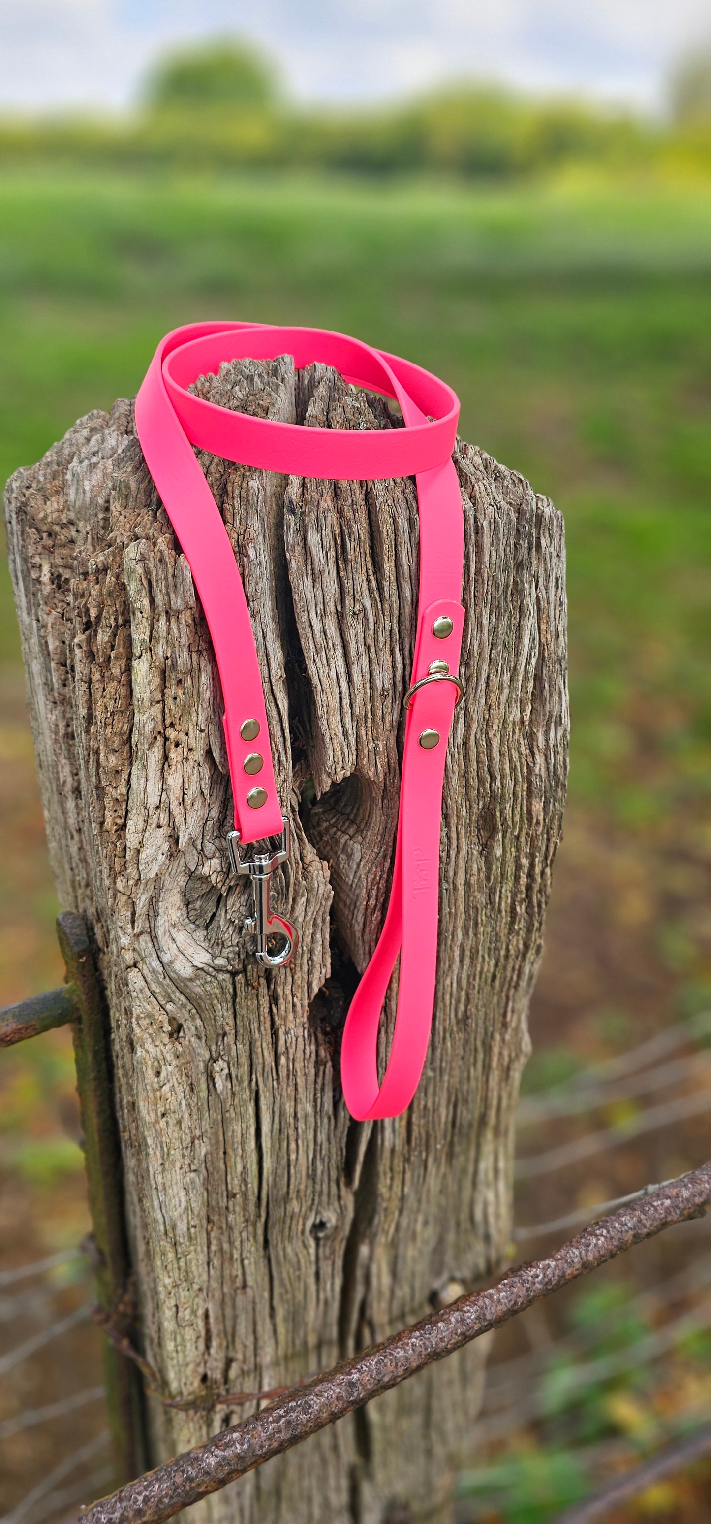 NEON PINK - Waterproof BioThane© Dog Collar/Lead/Bundle