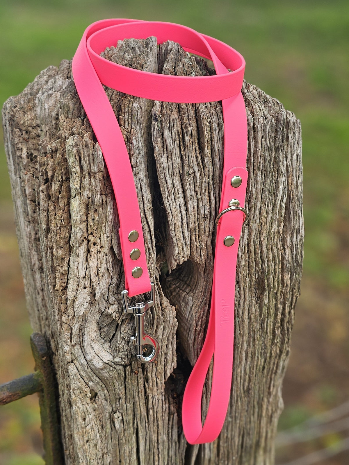 Coral - Classic Waterproof BioThane© Dog Lead