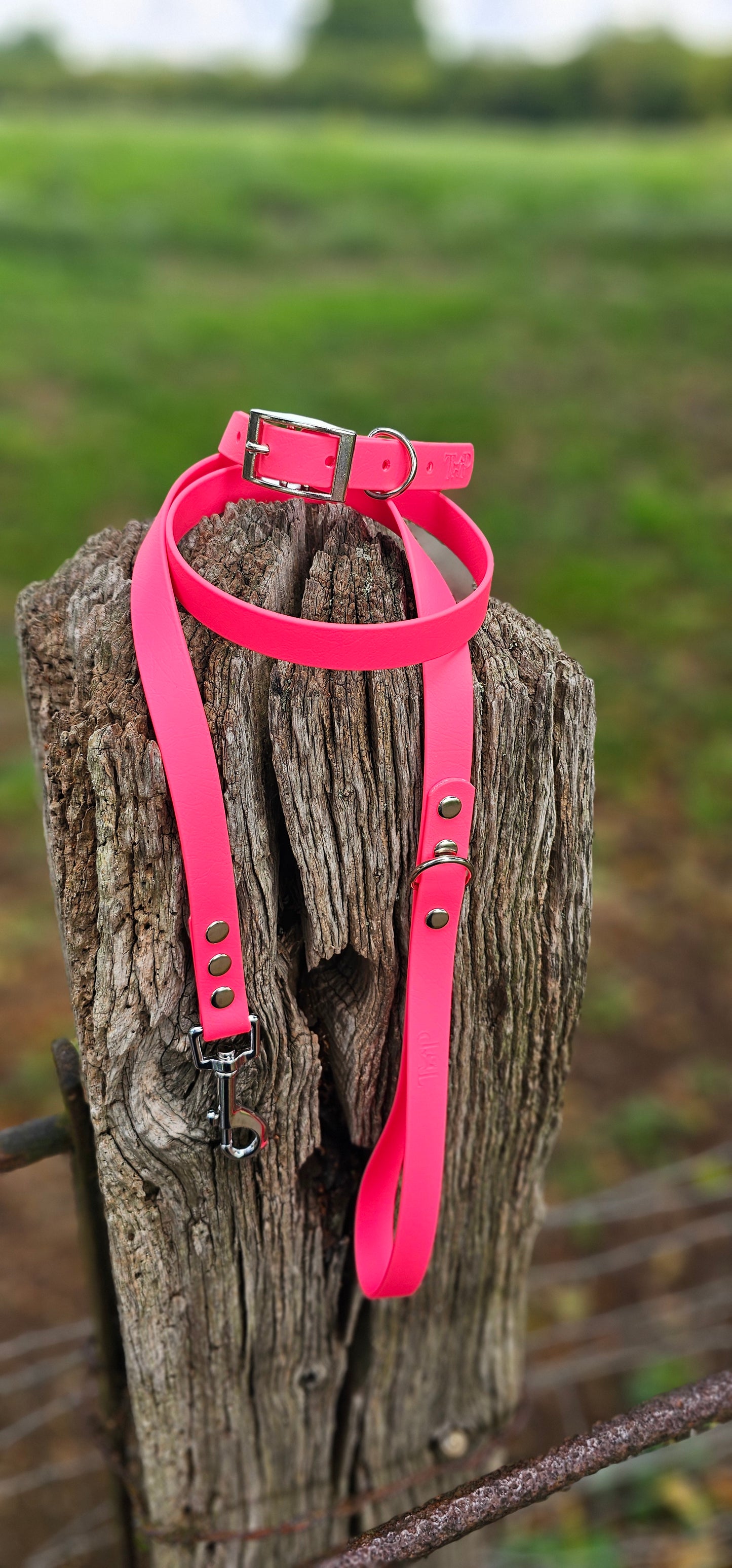 NEON PINK - Waterproof BioThane© Dog Collar/Lead/Bundle