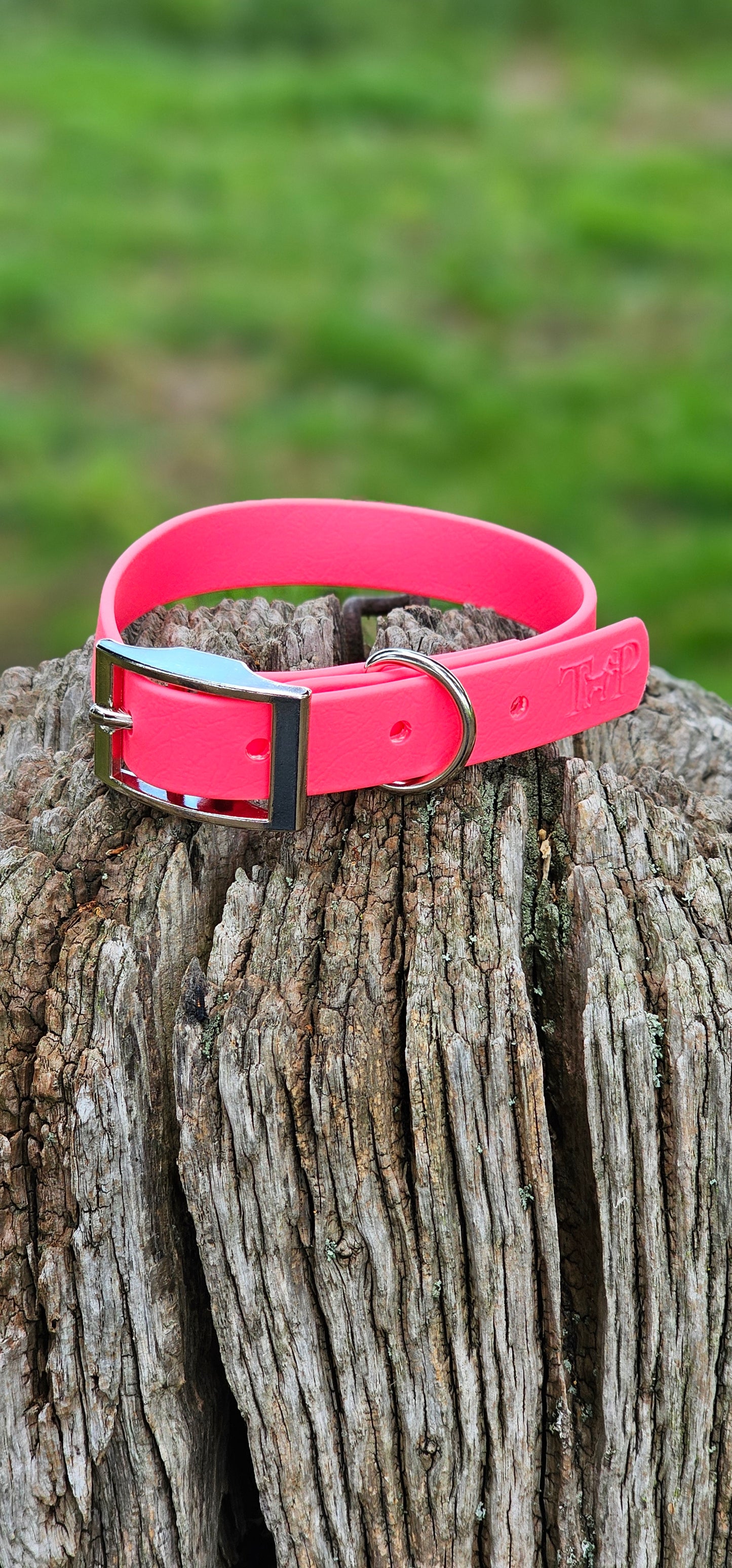NEON PINK - Waterproof BioThane© Dog Collar/Lead/Bundle