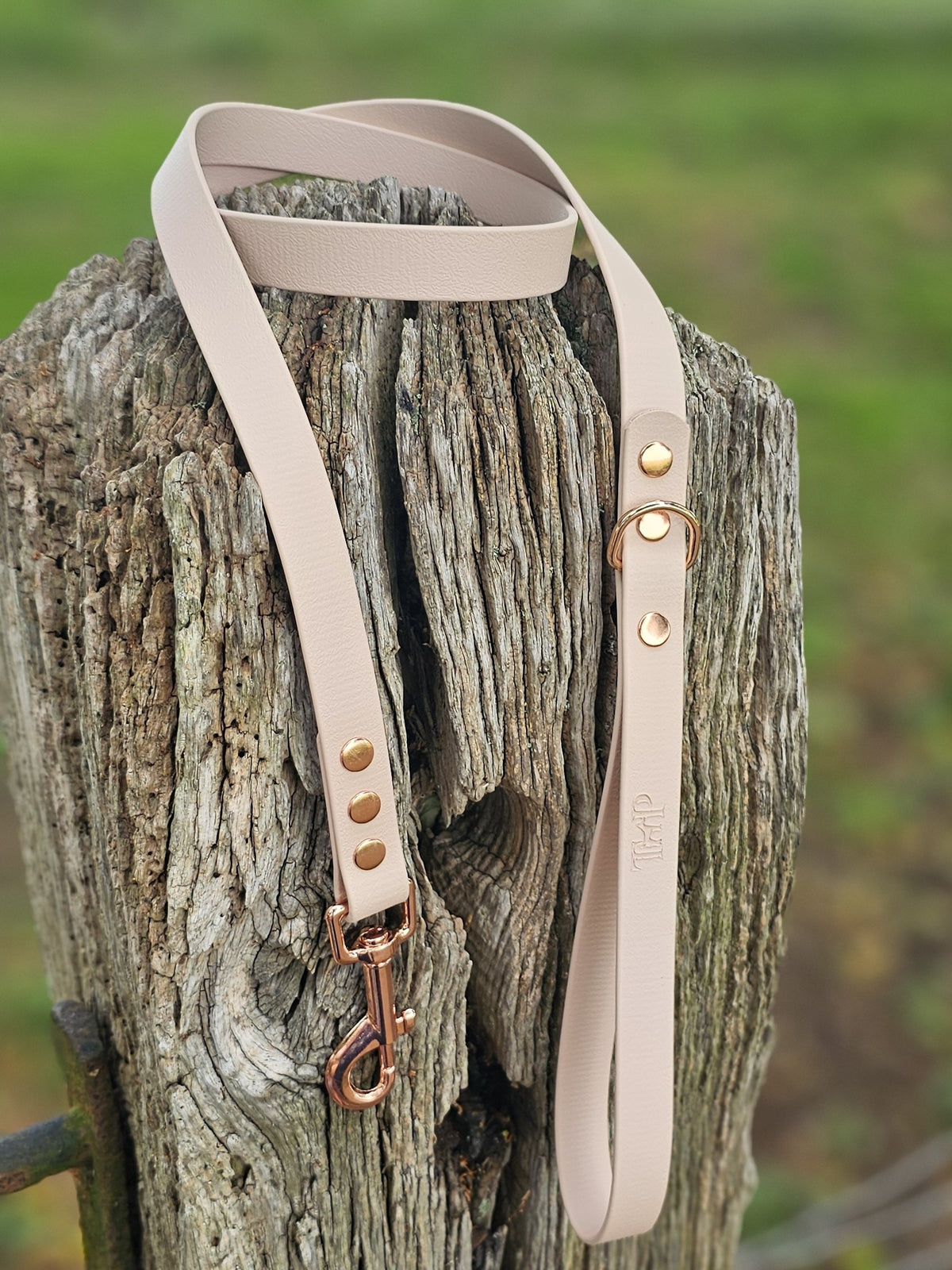 Powder Pearl - Classic Waterproof BioThane© Dog Lead