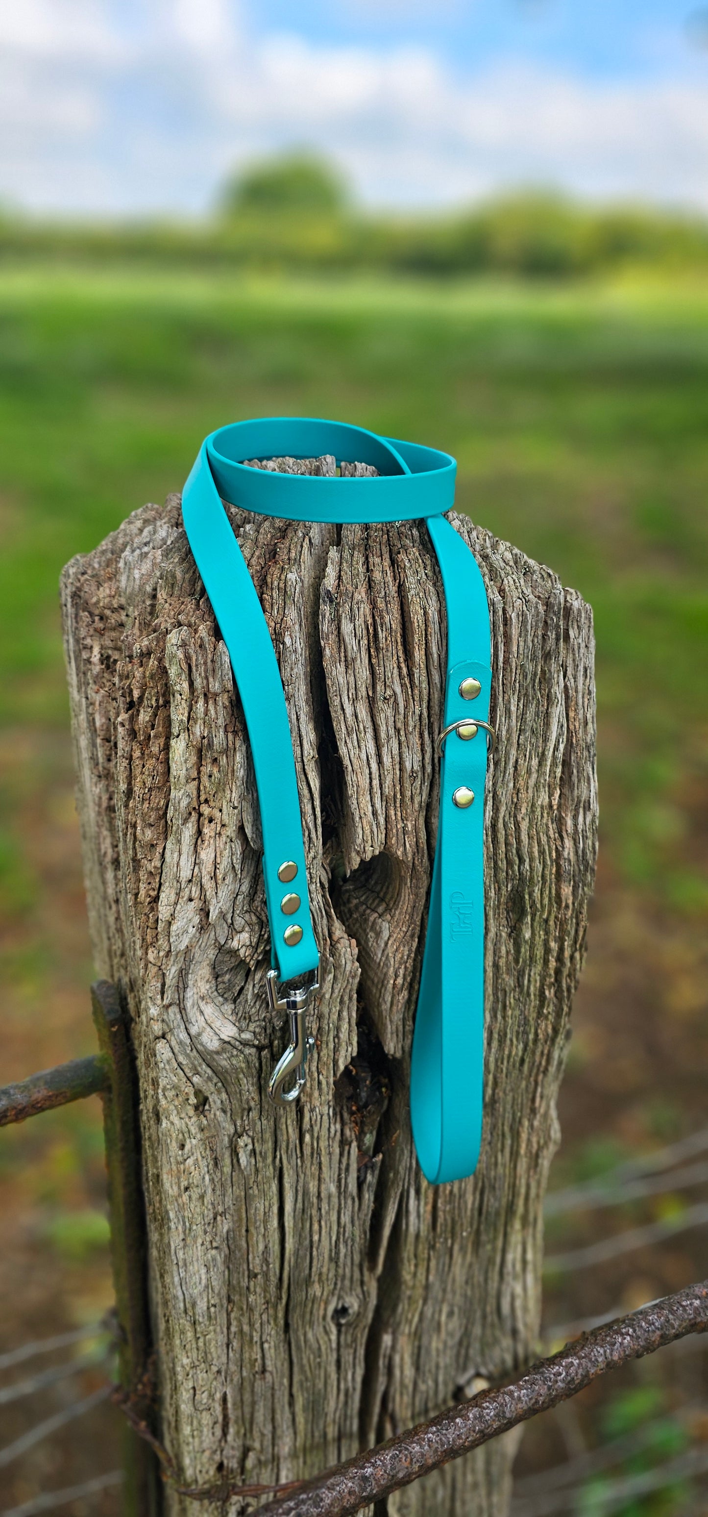 TEAL - Waterproof BioThane© Dog Collar/Lead/Bundle