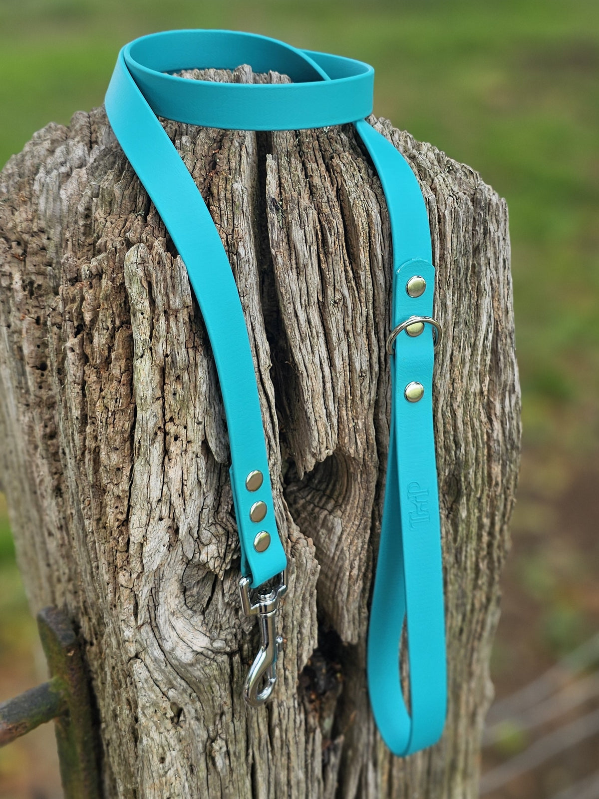 Teal - Classic Waterproof BioThane© Dog Lead