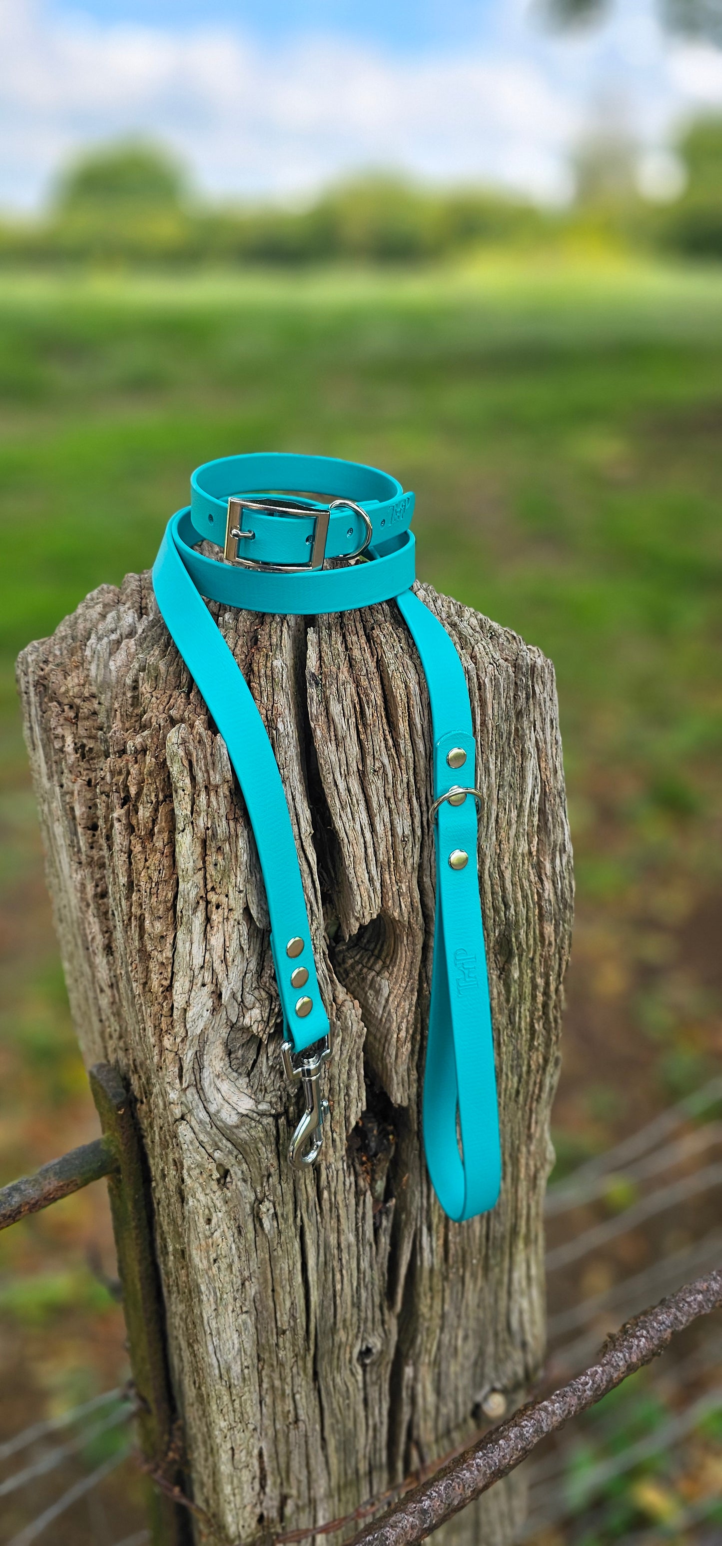TEAL - Waterproof BioThane© Dog Collar/Lead/Bundle