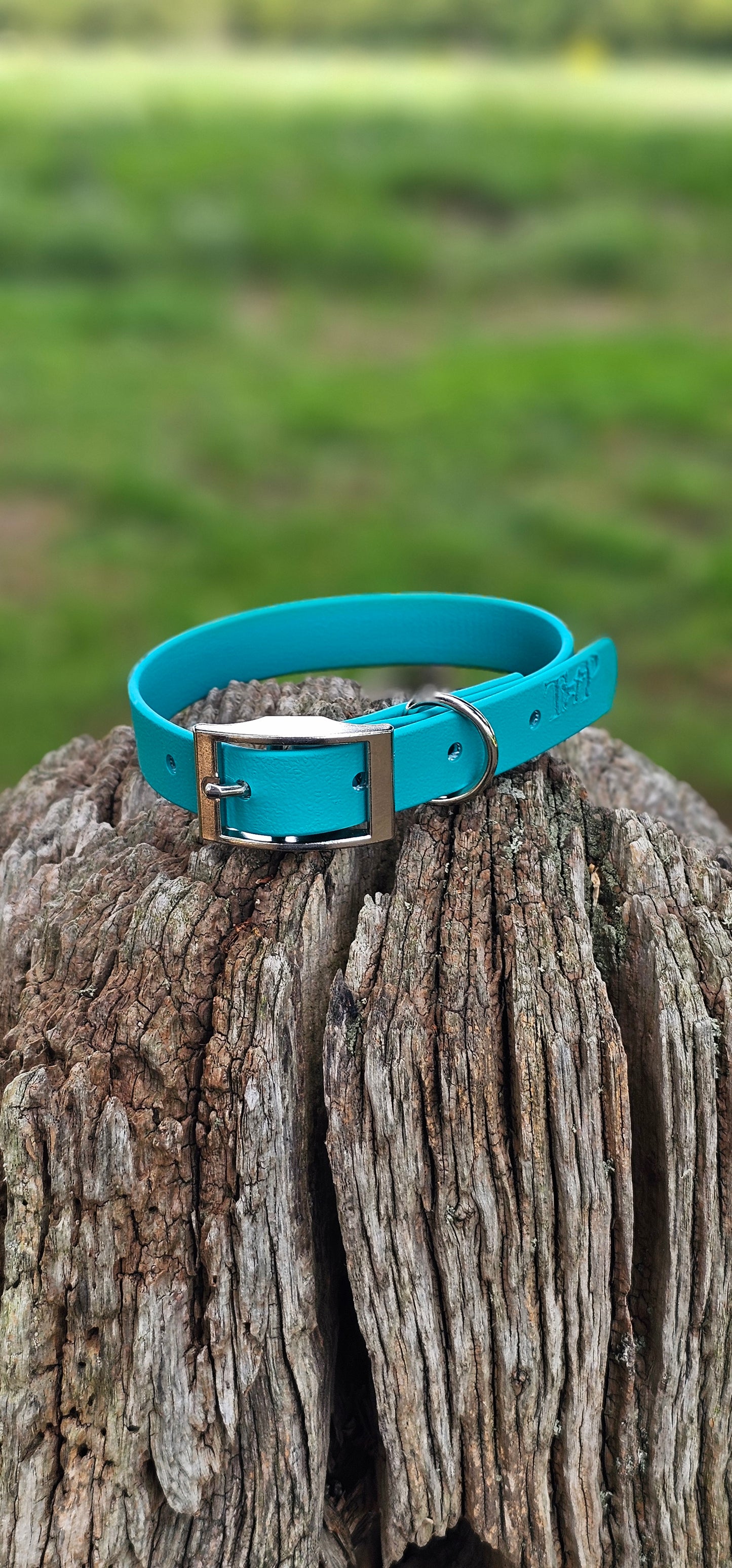 TEAL - Waterproof BioThane© Dog Collar/Lead/Bundle