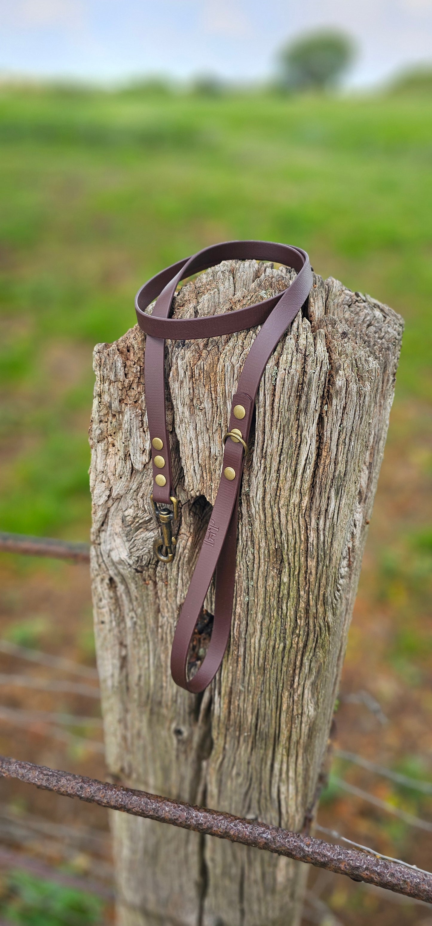 DARK BROWN - Waterproof BioThane© Dog Collar & Lead
