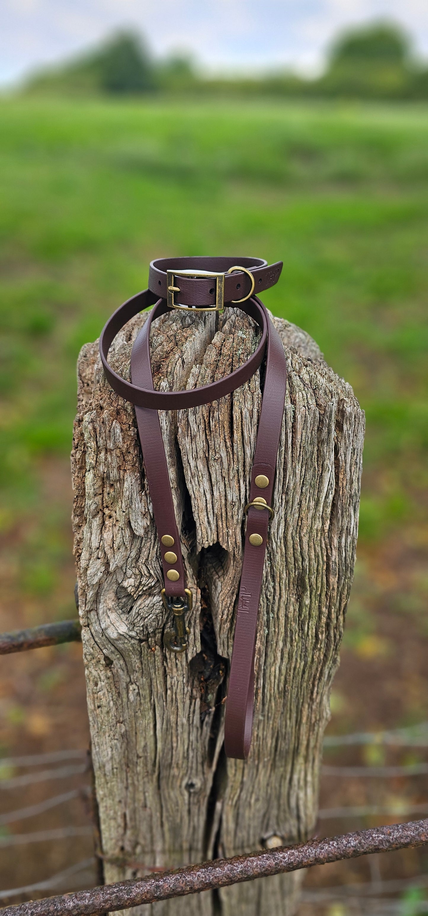 DARK BROWN - Waterproof BioThane© Dog Collar & Lead