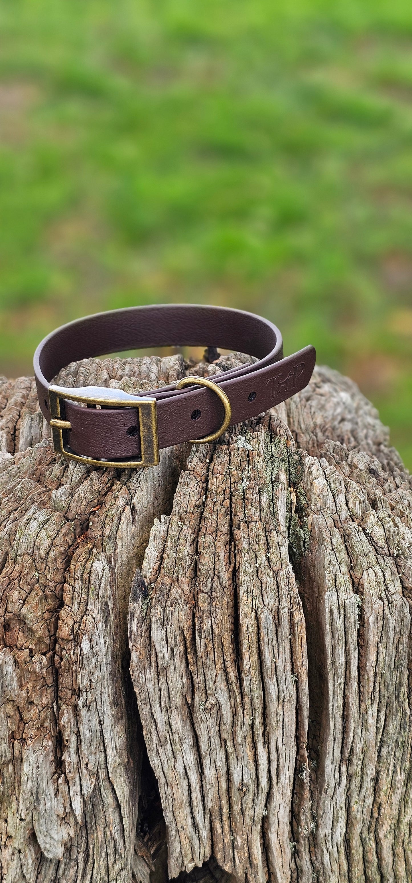 DARK BROWN - Waterproof BioThane© Dog Collar & Lead