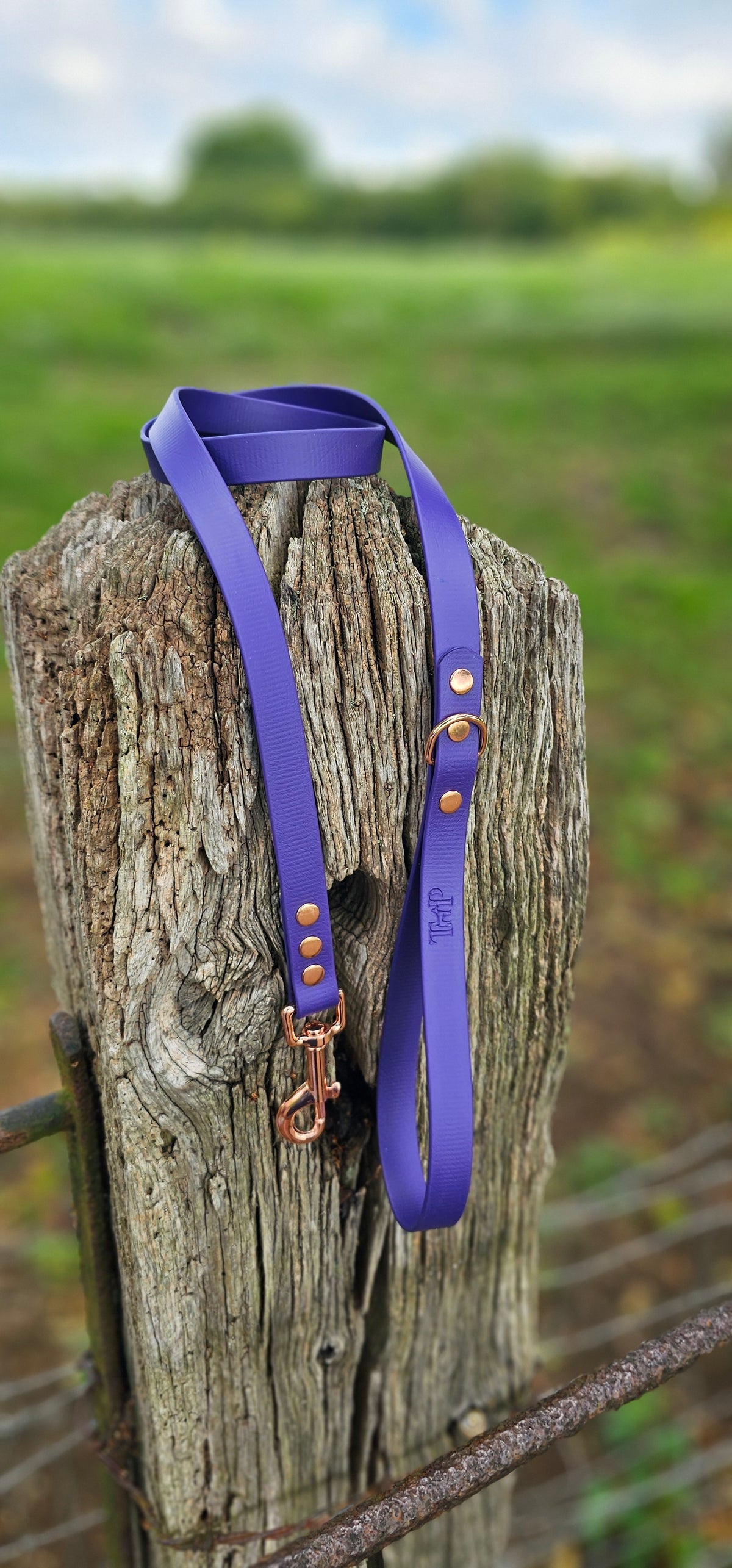 Purple - Everlast Waterproof BioThane© Dog Lead