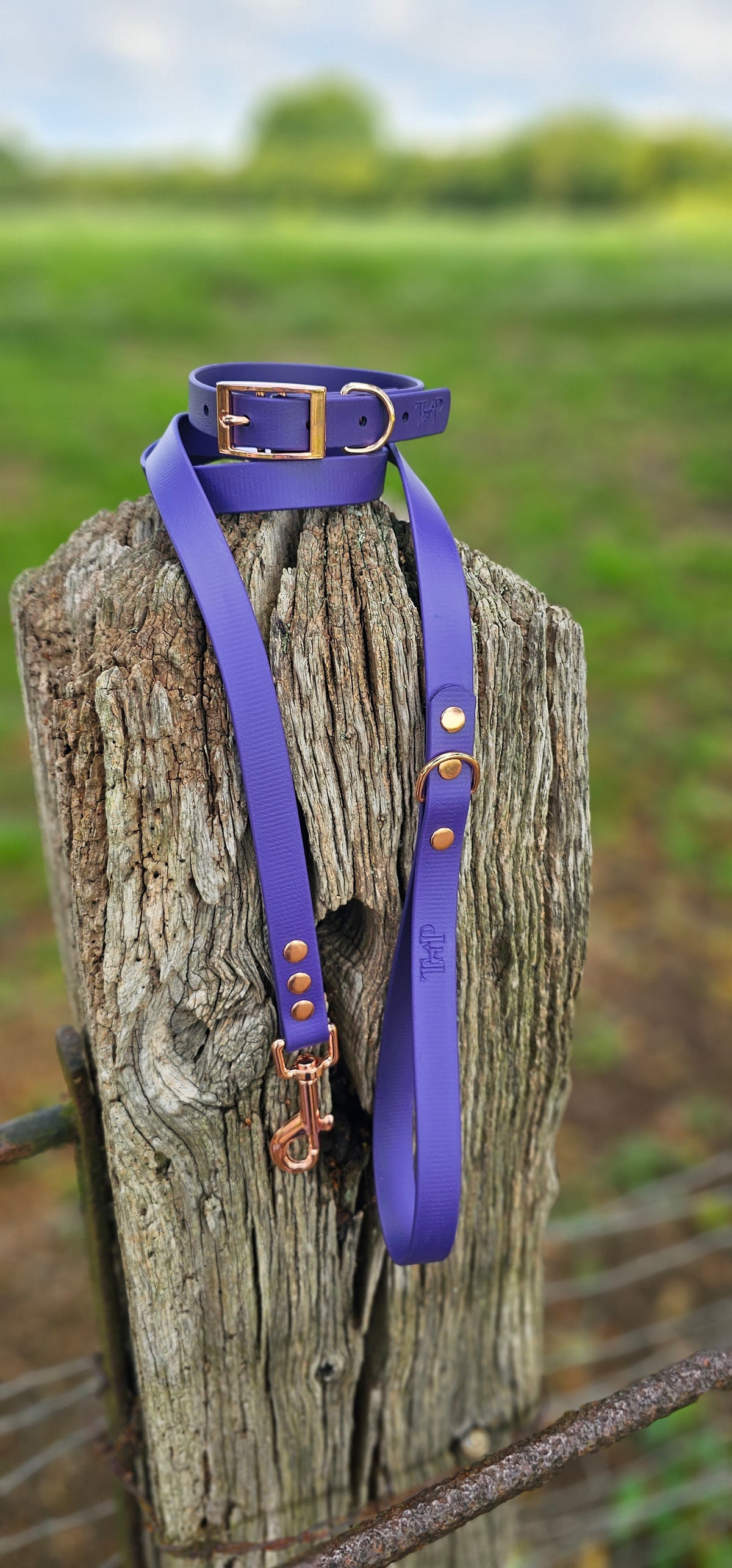 Purple - Classic Waterproof BioThane© Dog Lead