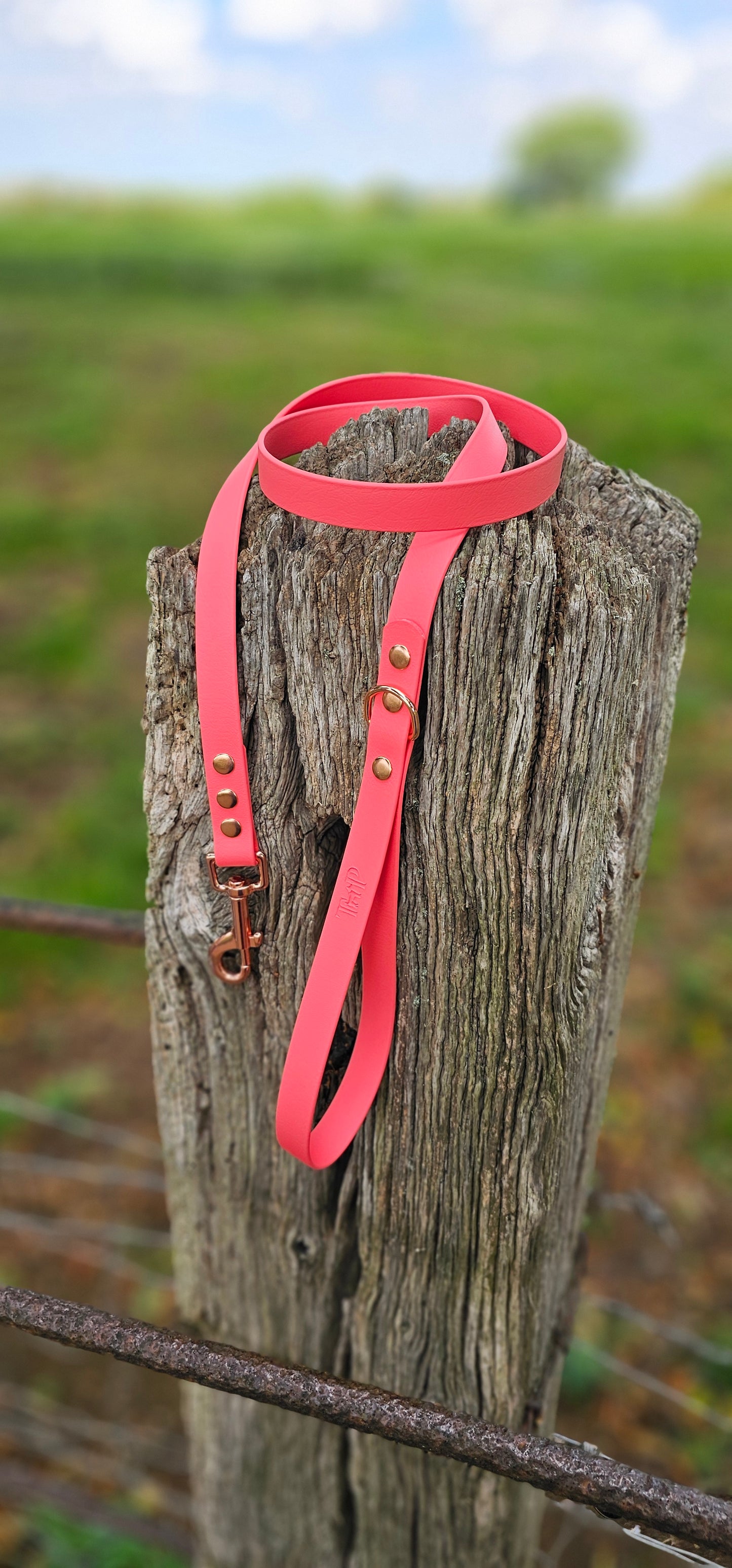 CORAL - Waterproof BioThane© Dog Collar & Lead
