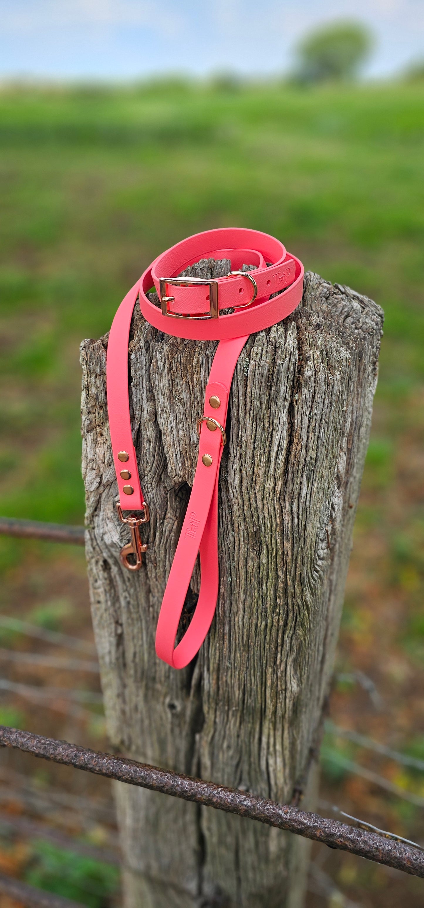 CORAL - Waterproof BioThane© Dog Collar & Lead