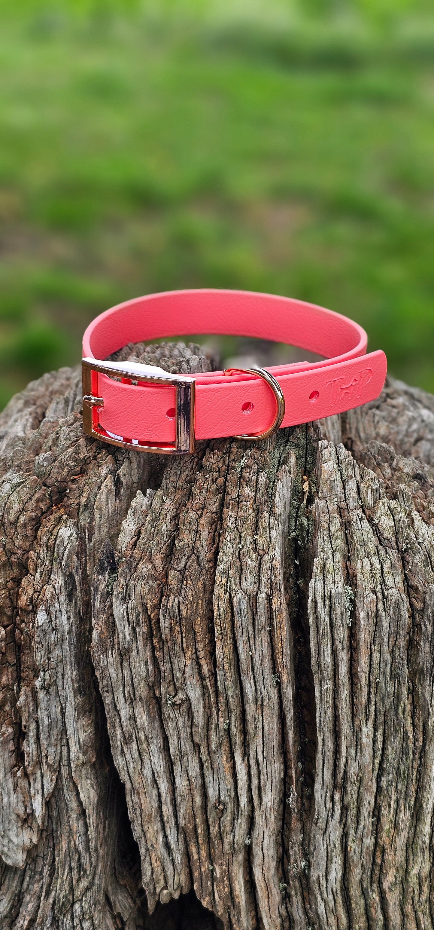 CORAL - Waterproof BioThane© Dog Collar & Lead