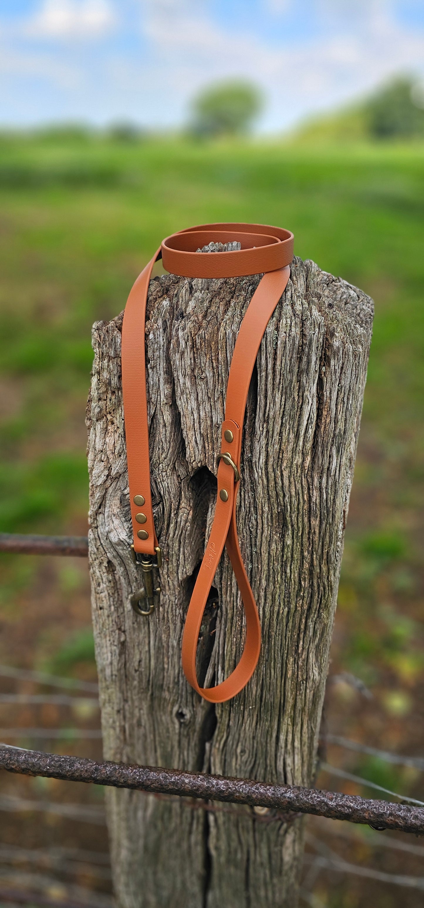 LIGHT BROWN - Waterproof BioThane© Dog Collar/Lead/Bundle