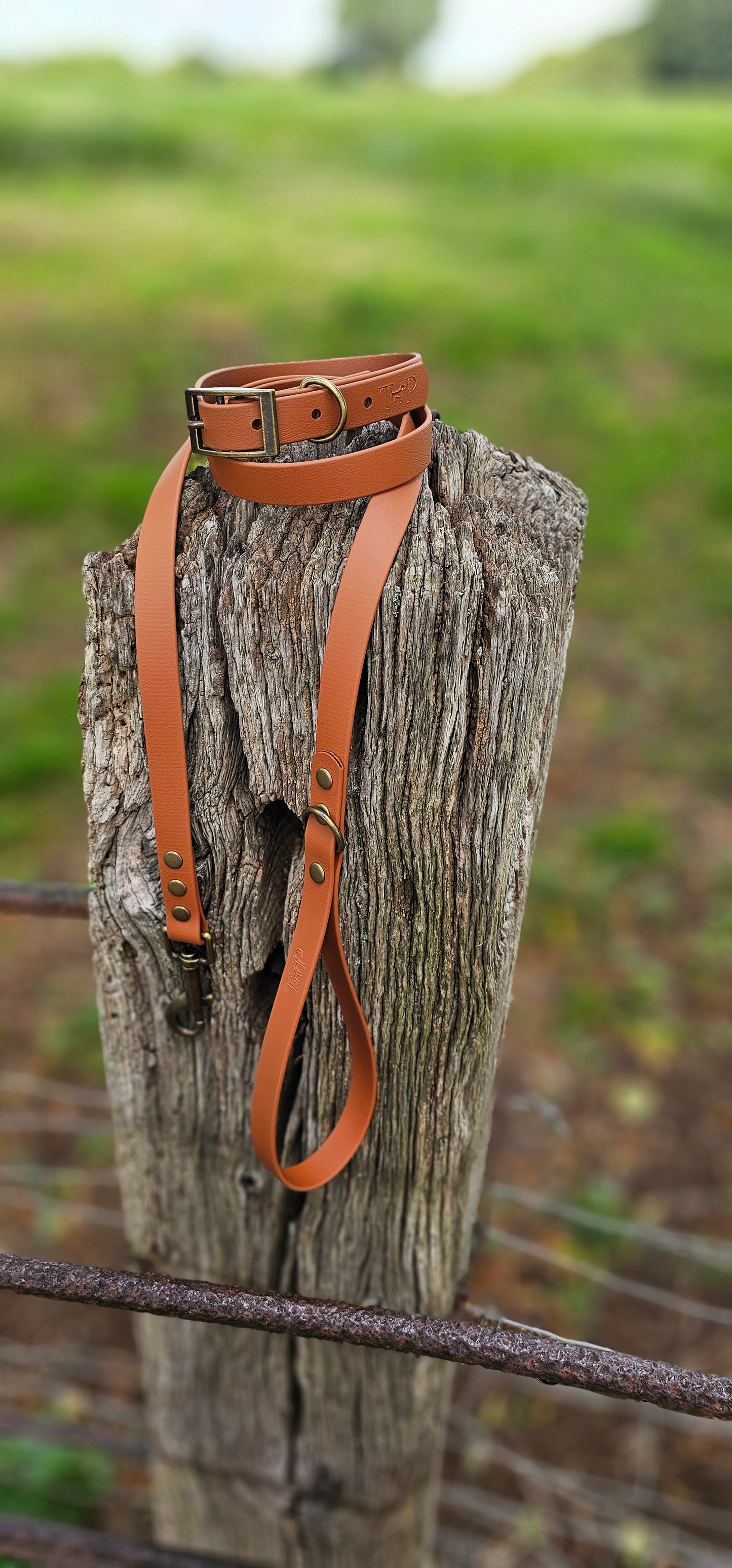LIGHT BROWN - Waterproof BioThane© Dog Collar/Lead/Bundle