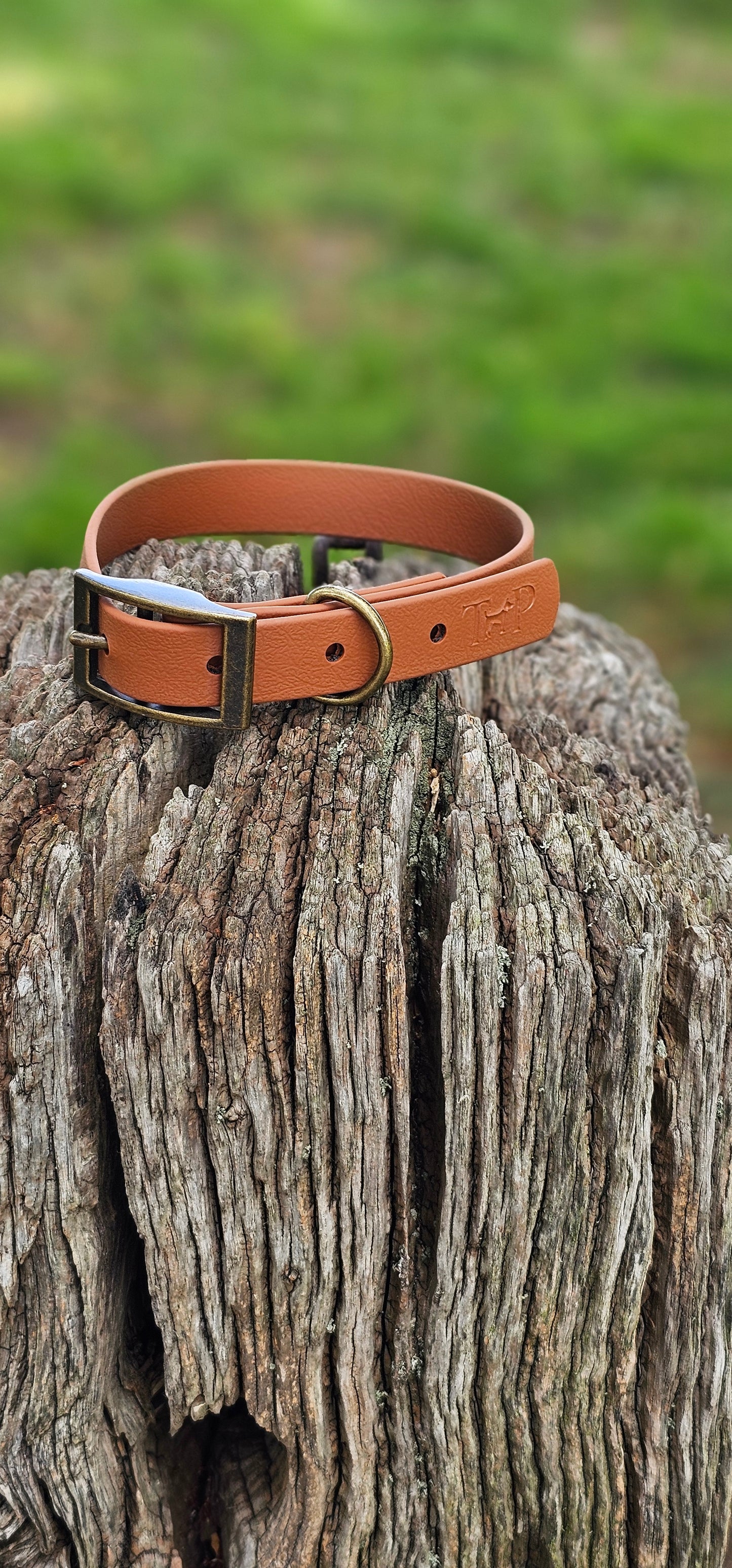 LIGHT BROWN - Waterproof BioThane© Dog Collar/Lead/Bundle