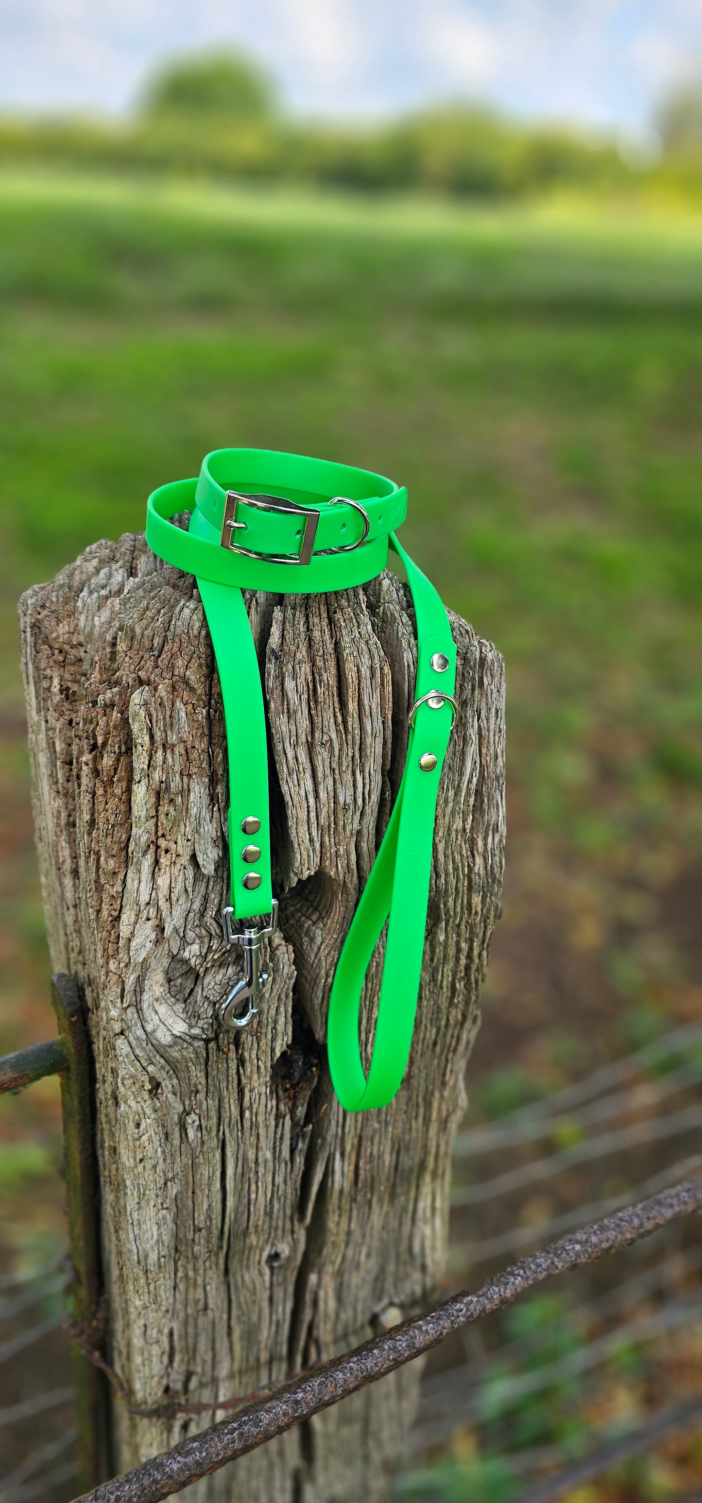NEON GREEN - Waterproof BioThane© Dog Collar/Lead/Bundle