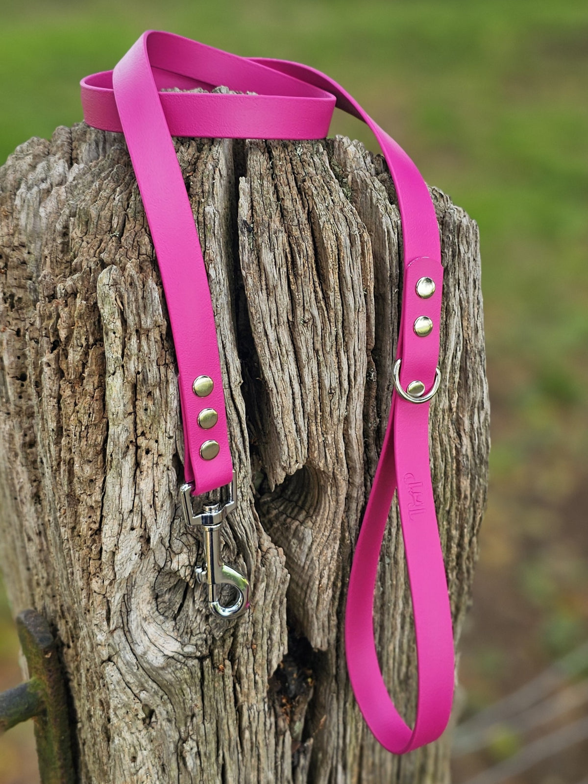 Magenta - Classic Waterproof BioThane© Dog Lead