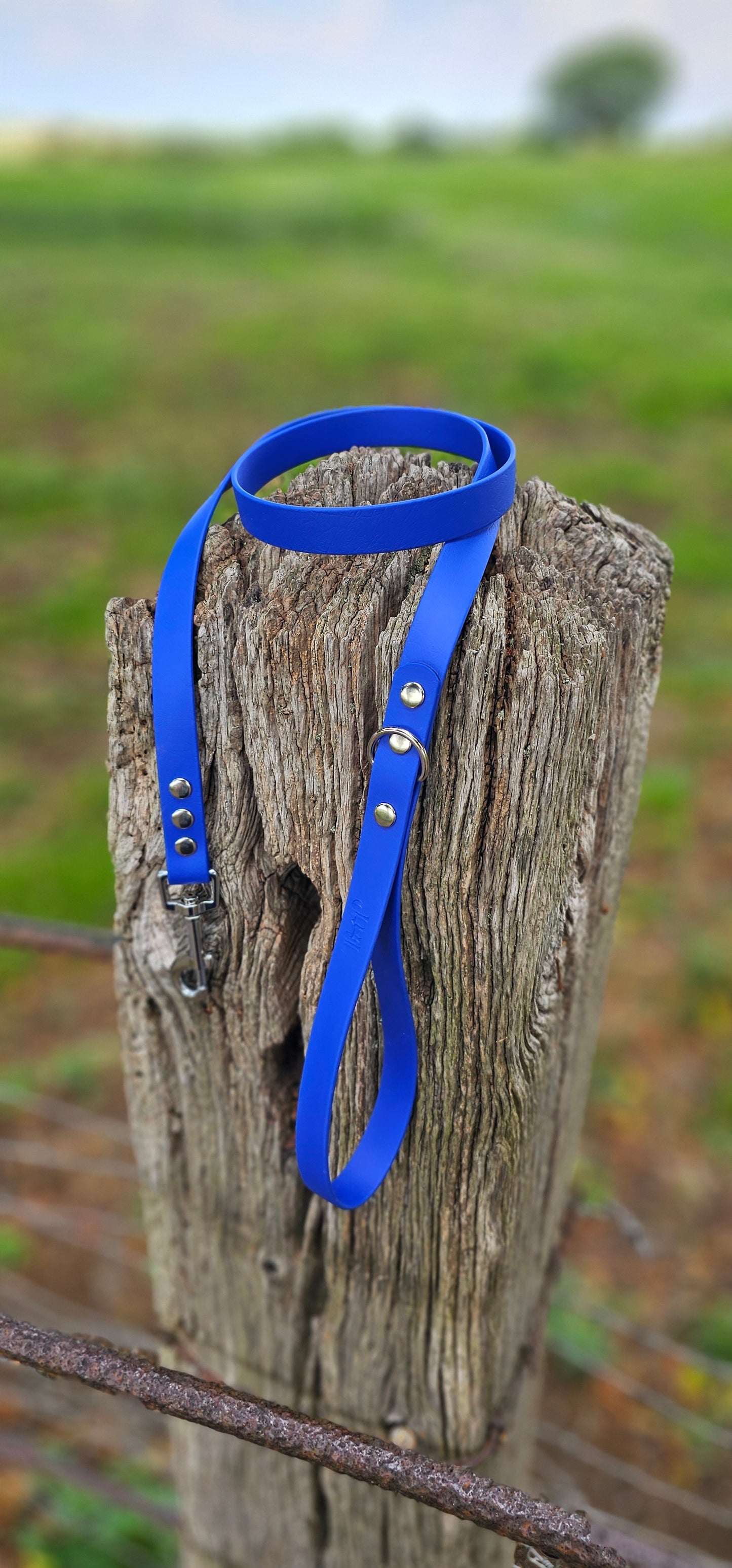 ROYAL BLUE - Waterproof BioThane© Dog Collar/Lead/Bundle