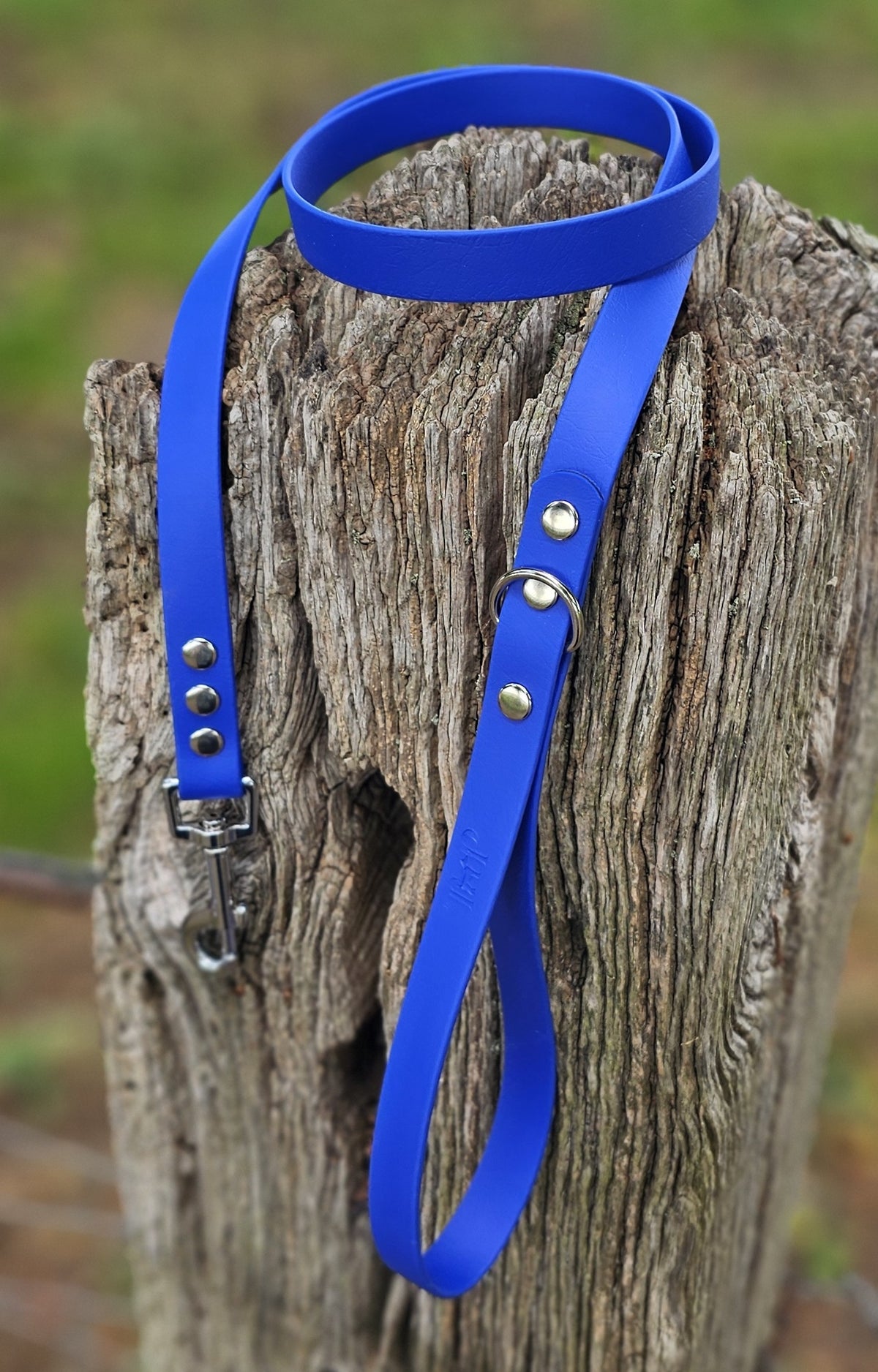 Royal Blue - Classic Waterproof BioThane© Dog Lead