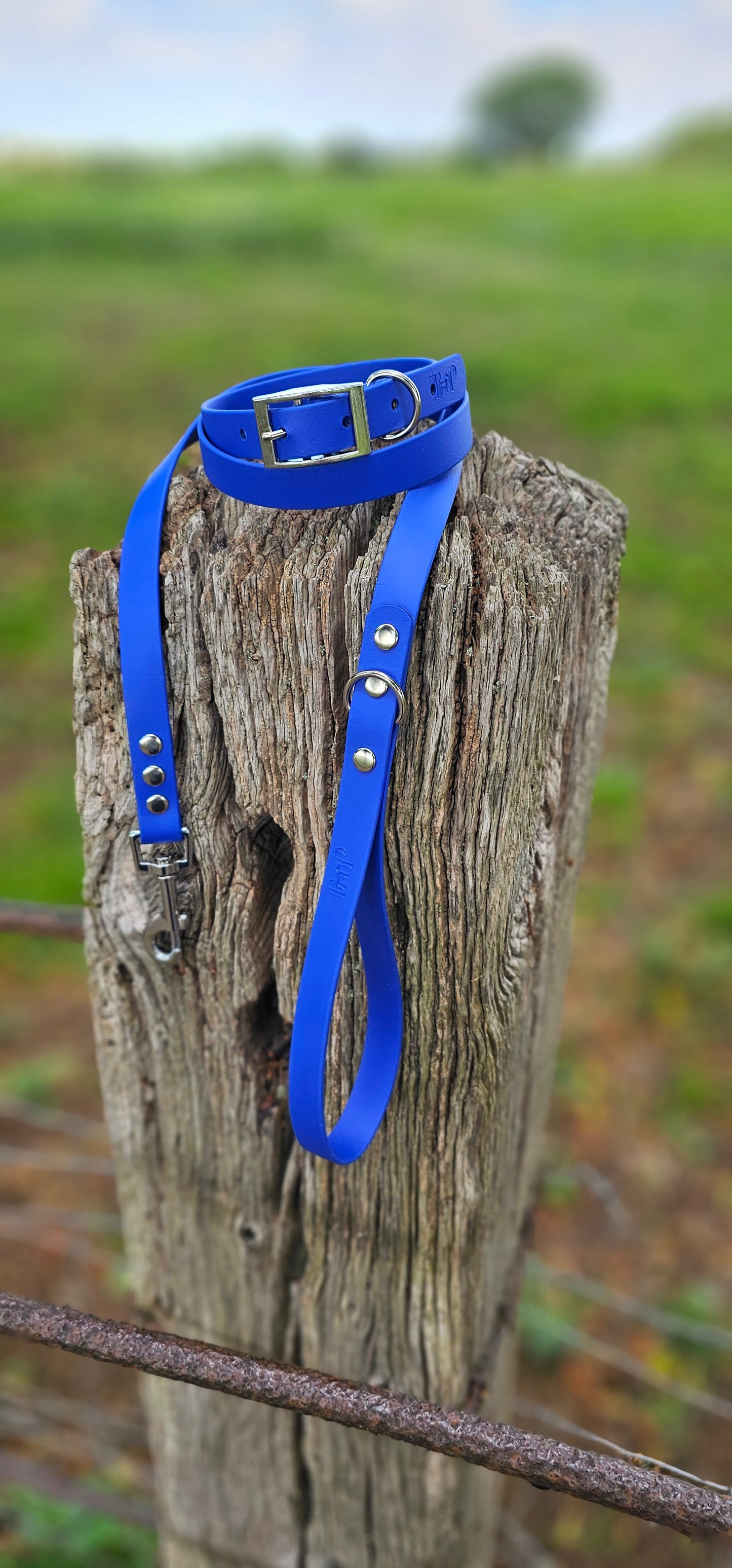 ROYAL BLUE - Waterproof BioThane© Dog Collar/Lead/Bundle
