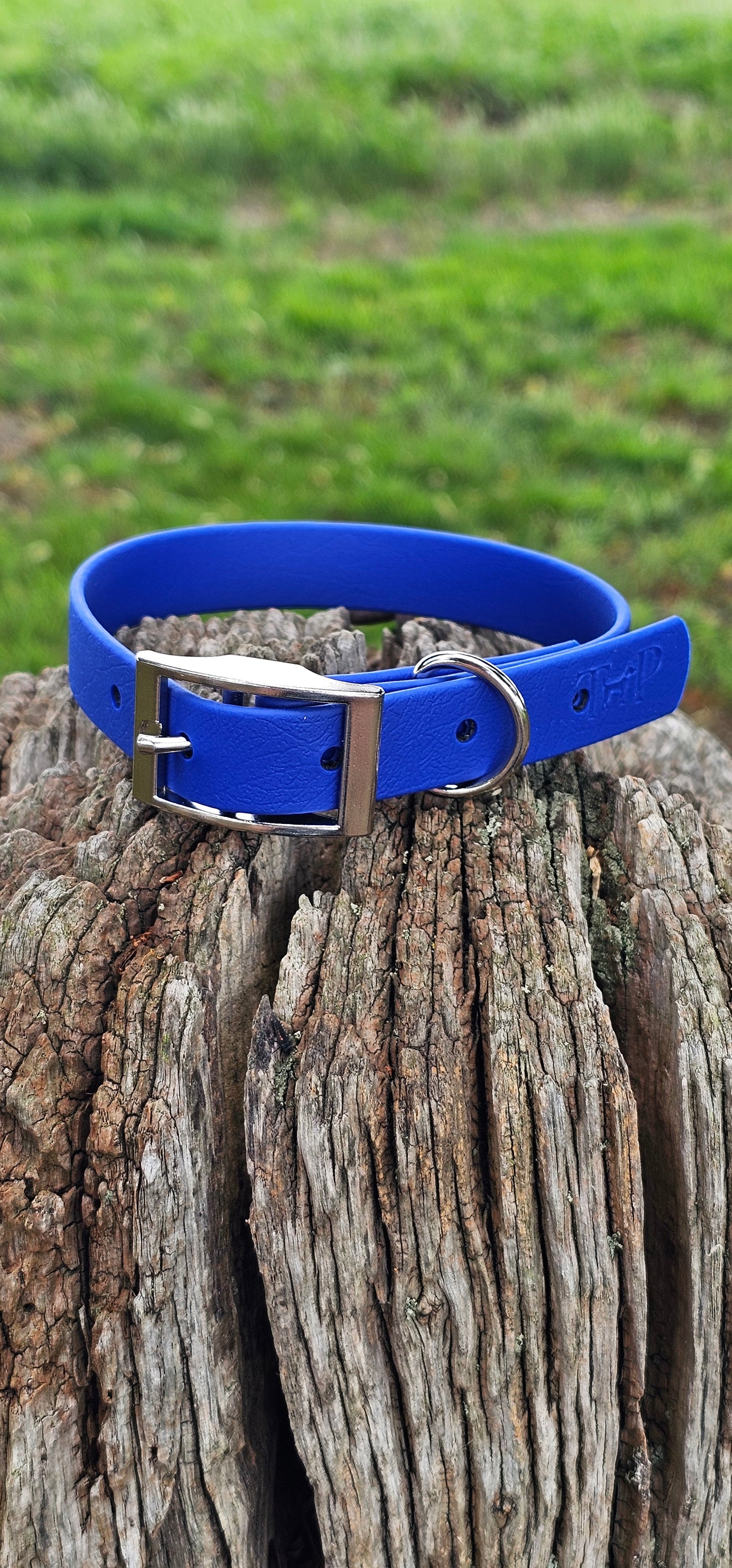 ROYAL BLUE - Waterproof BioThane© Dog Collar/Lead/Bundle