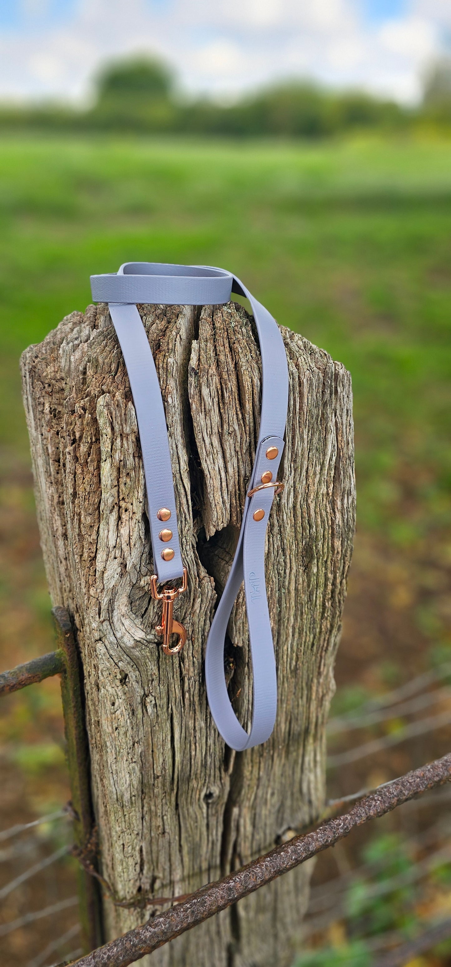 GREY - Waterproof BioThane© Dog Collar/Lead/Bundle