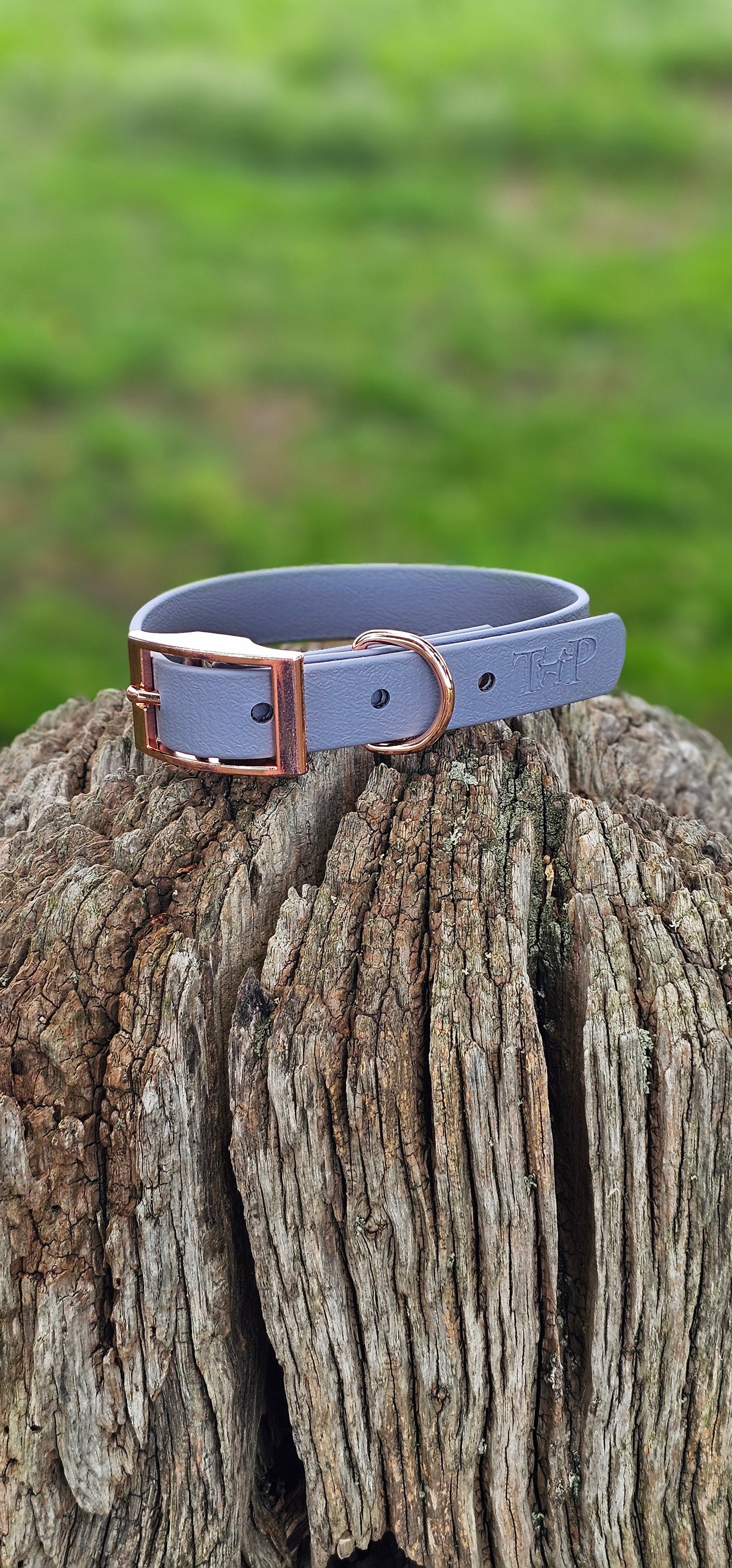 GREY - Waterproof BioThane© Dog Collar/Lead/Bundle